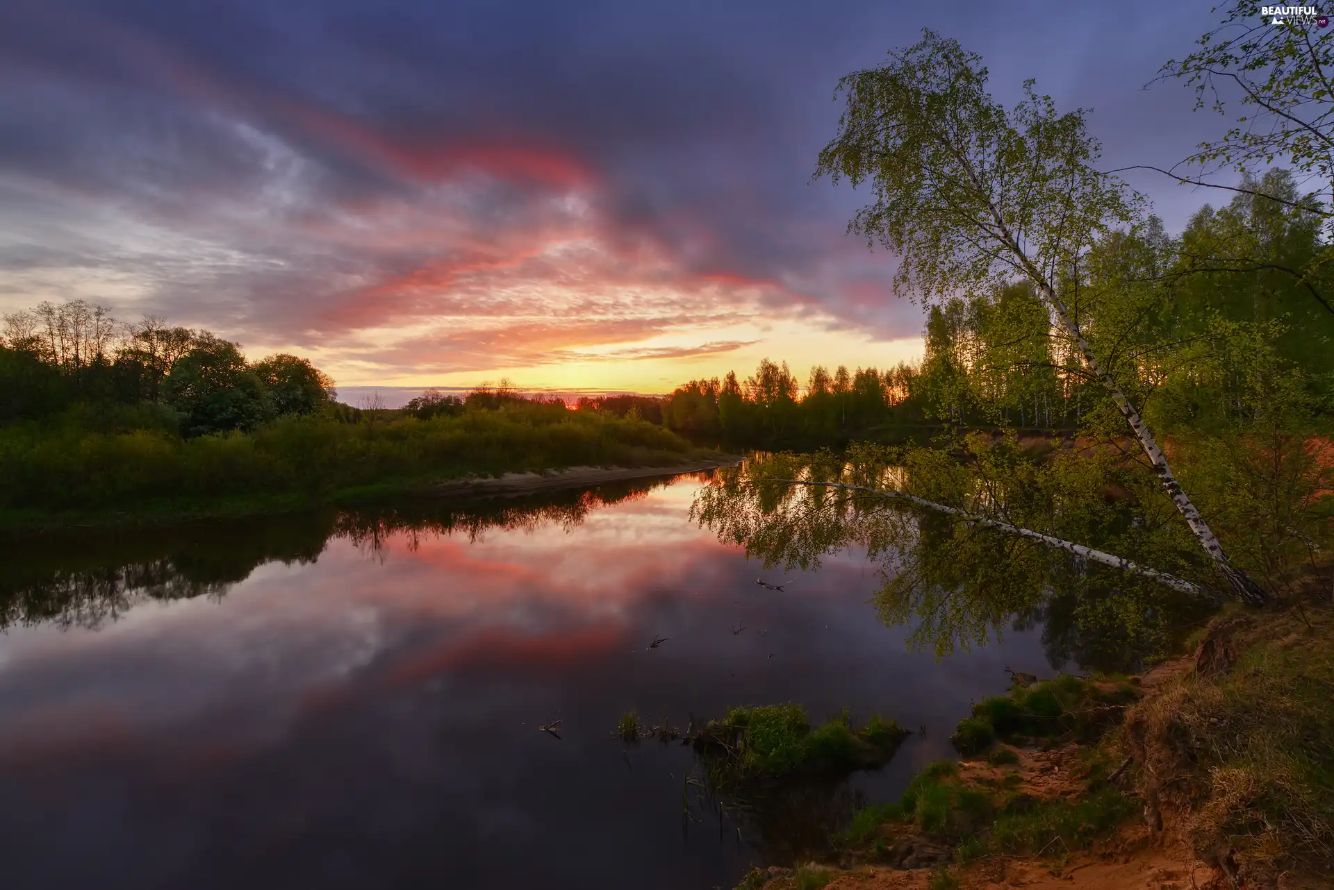 inclined, River, viewes, birch, trees, Sunrise