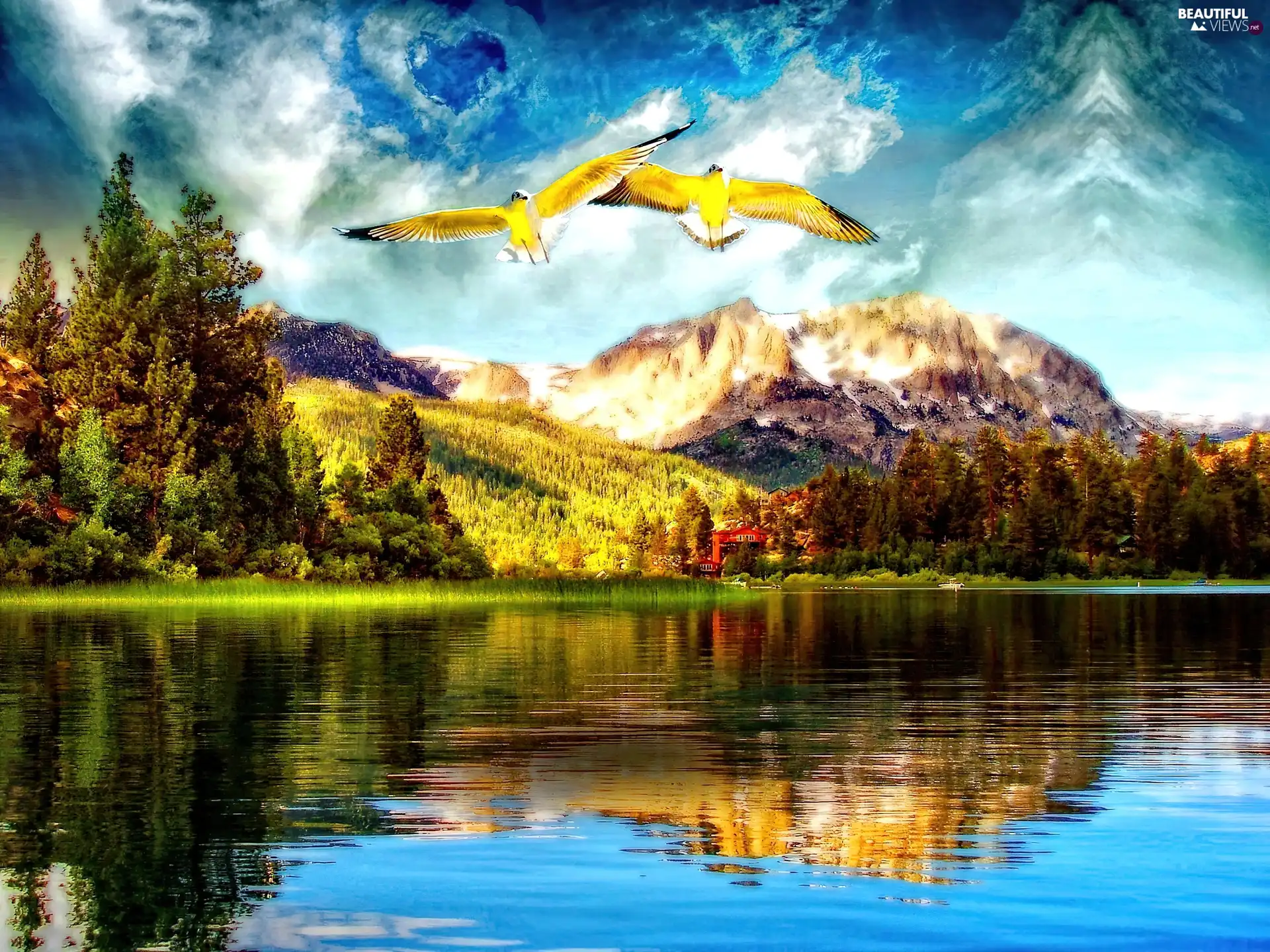 birds, Mountains, lake