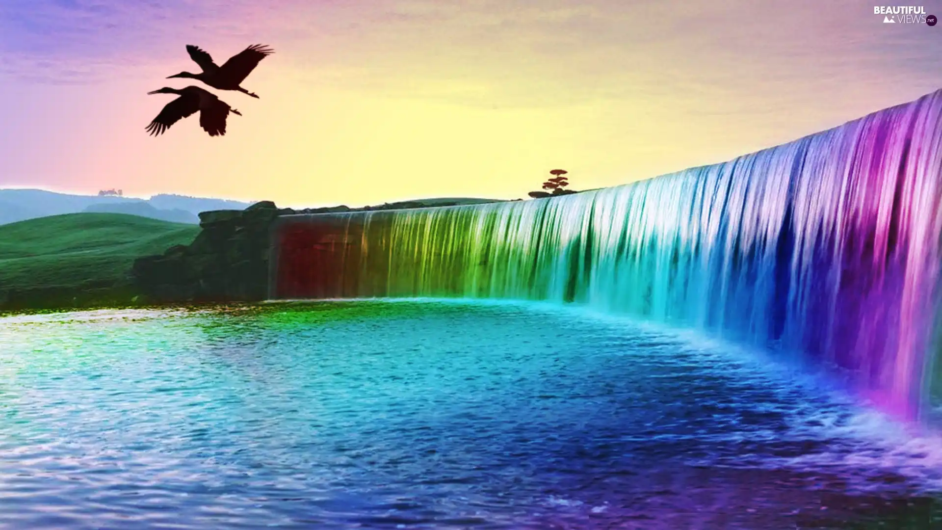 birds, Rainbow, waterfall