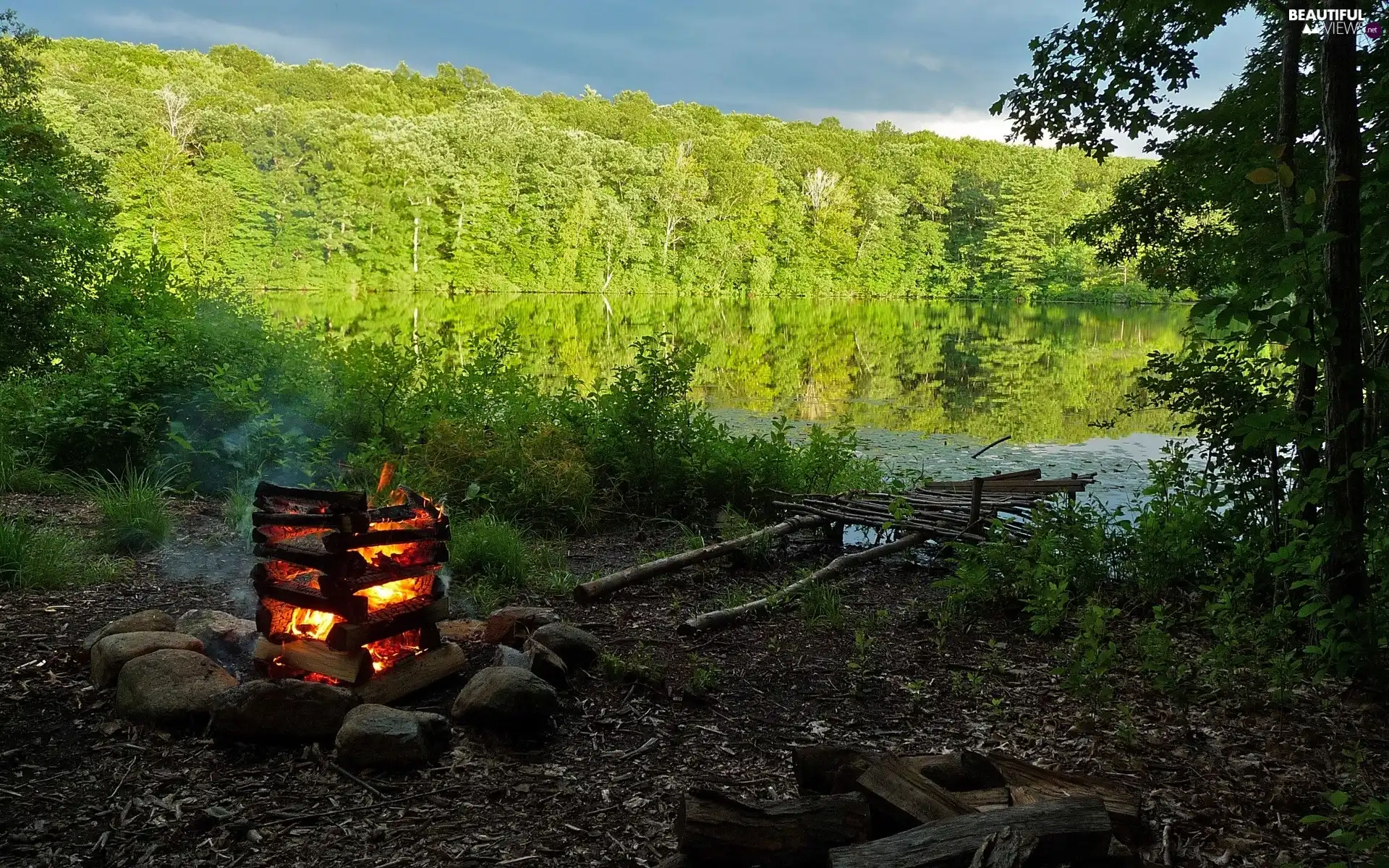 bivouac, forest, fire