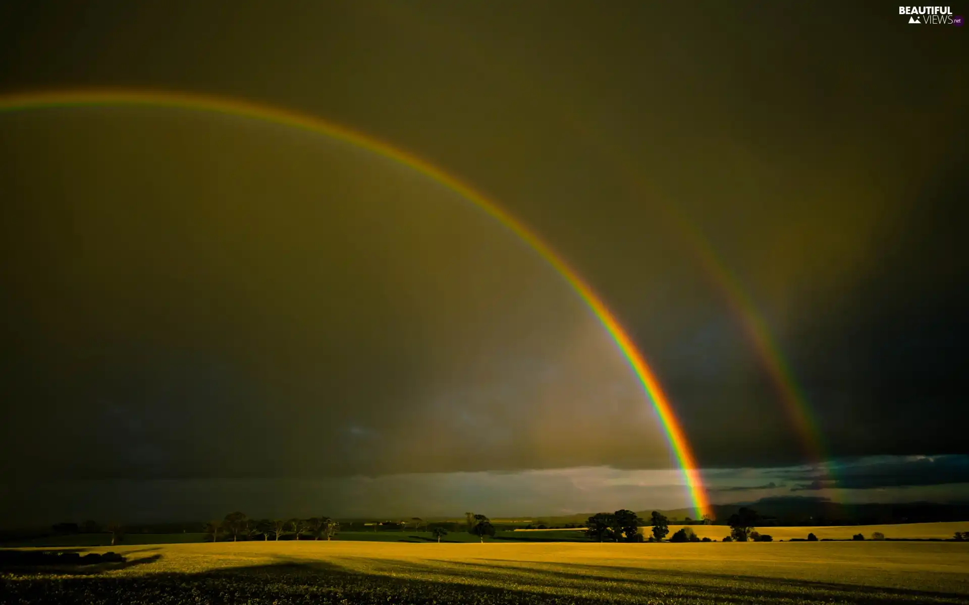 Black, Sky, by, Polami, rainbows