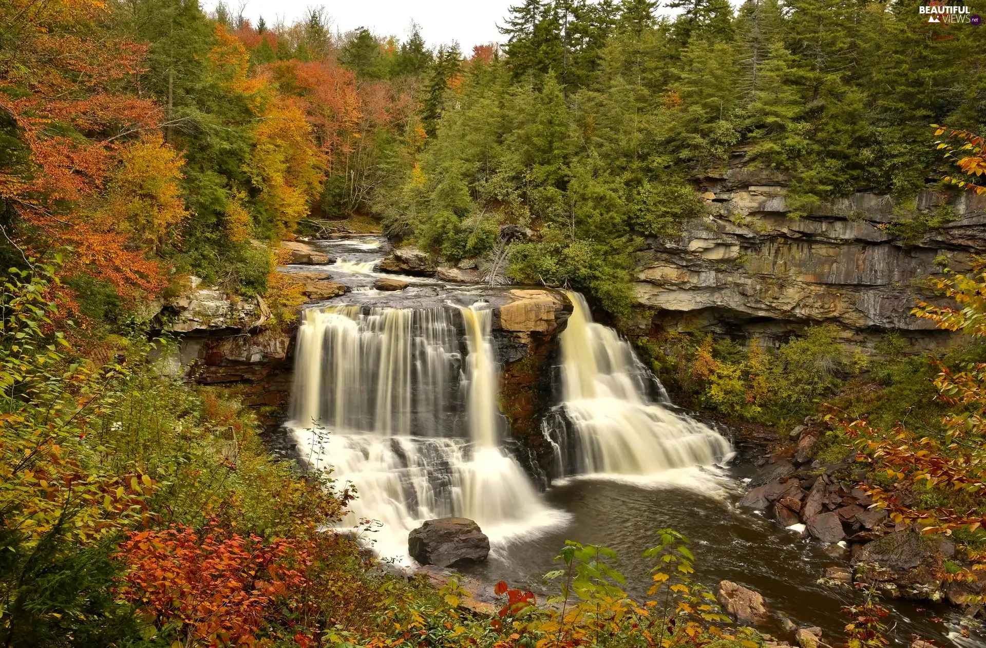 autumn, State of West Virginia, rocks, Blackwater Falls State Park, The United States, forest, Blackwater Falls