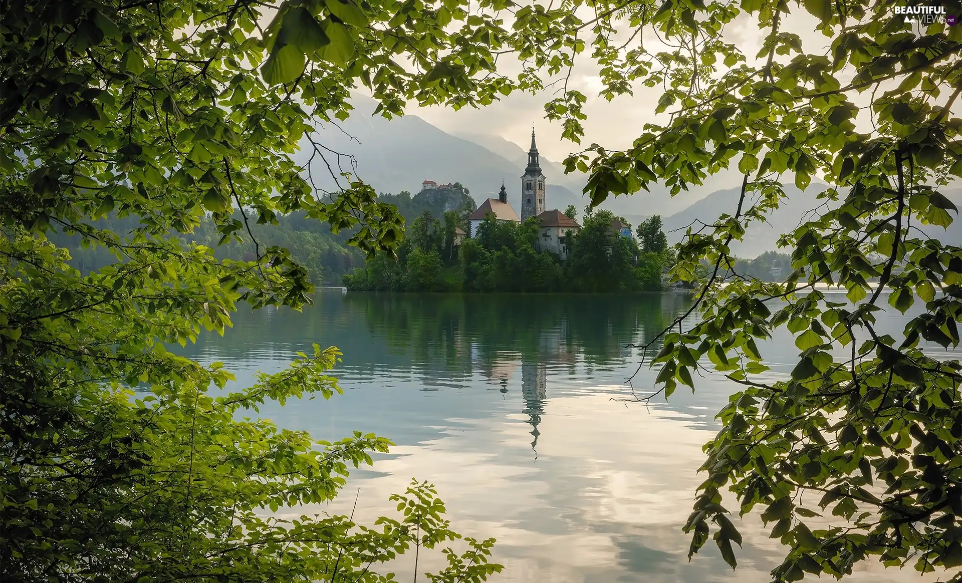 Blejski Otok Island, Slovenia, green, branch pics, Church of the Annunciation of the Virgin Mary, Lake Bled