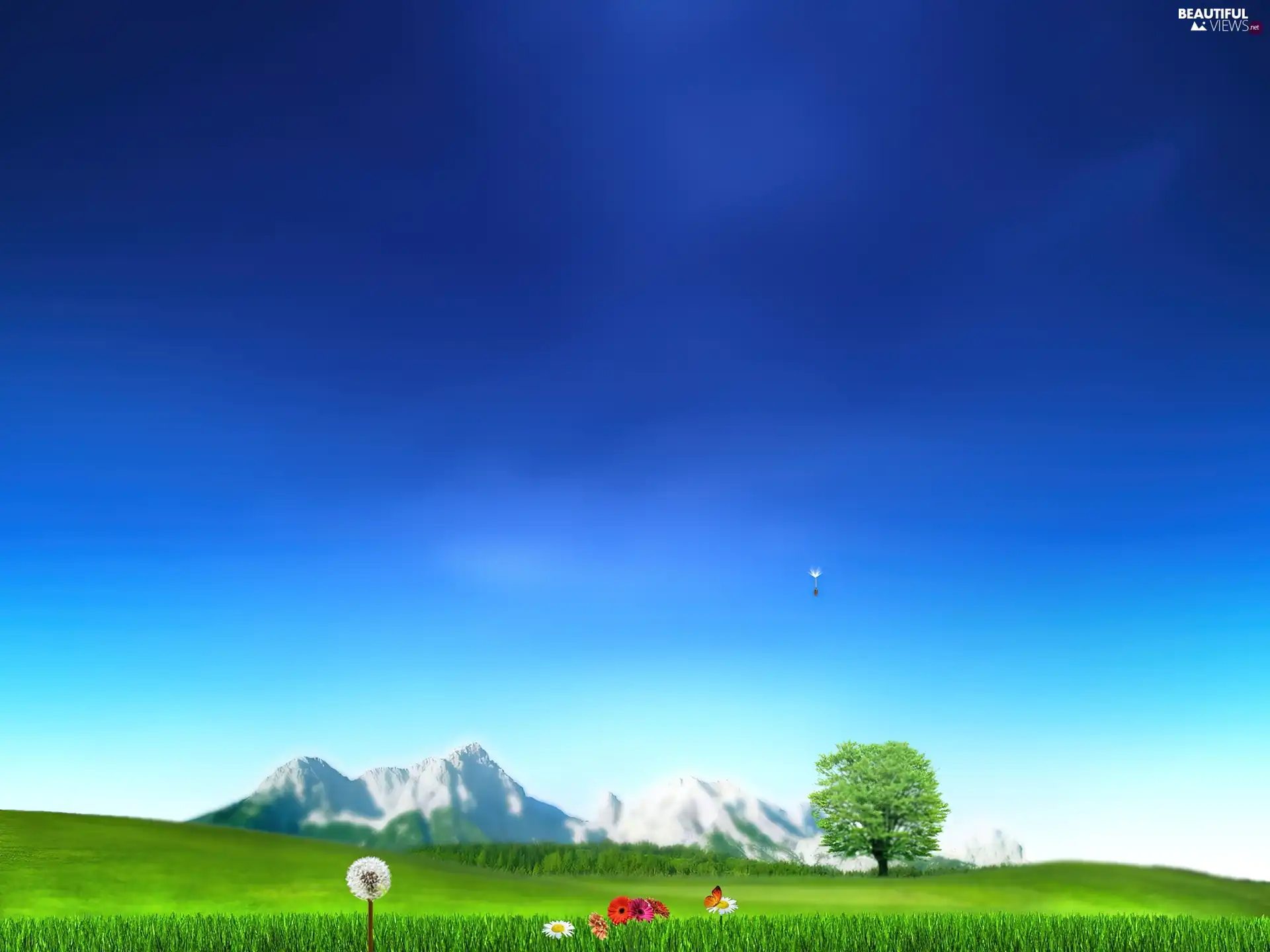 blue, Sky, Meadow, Flowers, Green