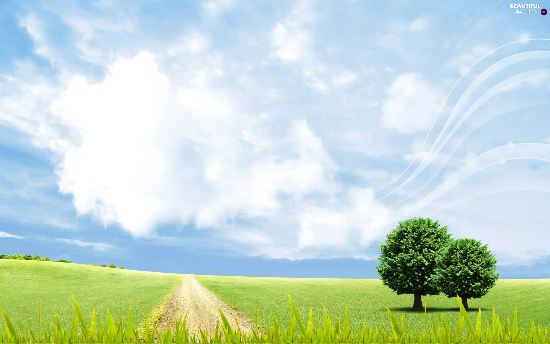 blue, Sky, Sapling, Meadow, Two cars