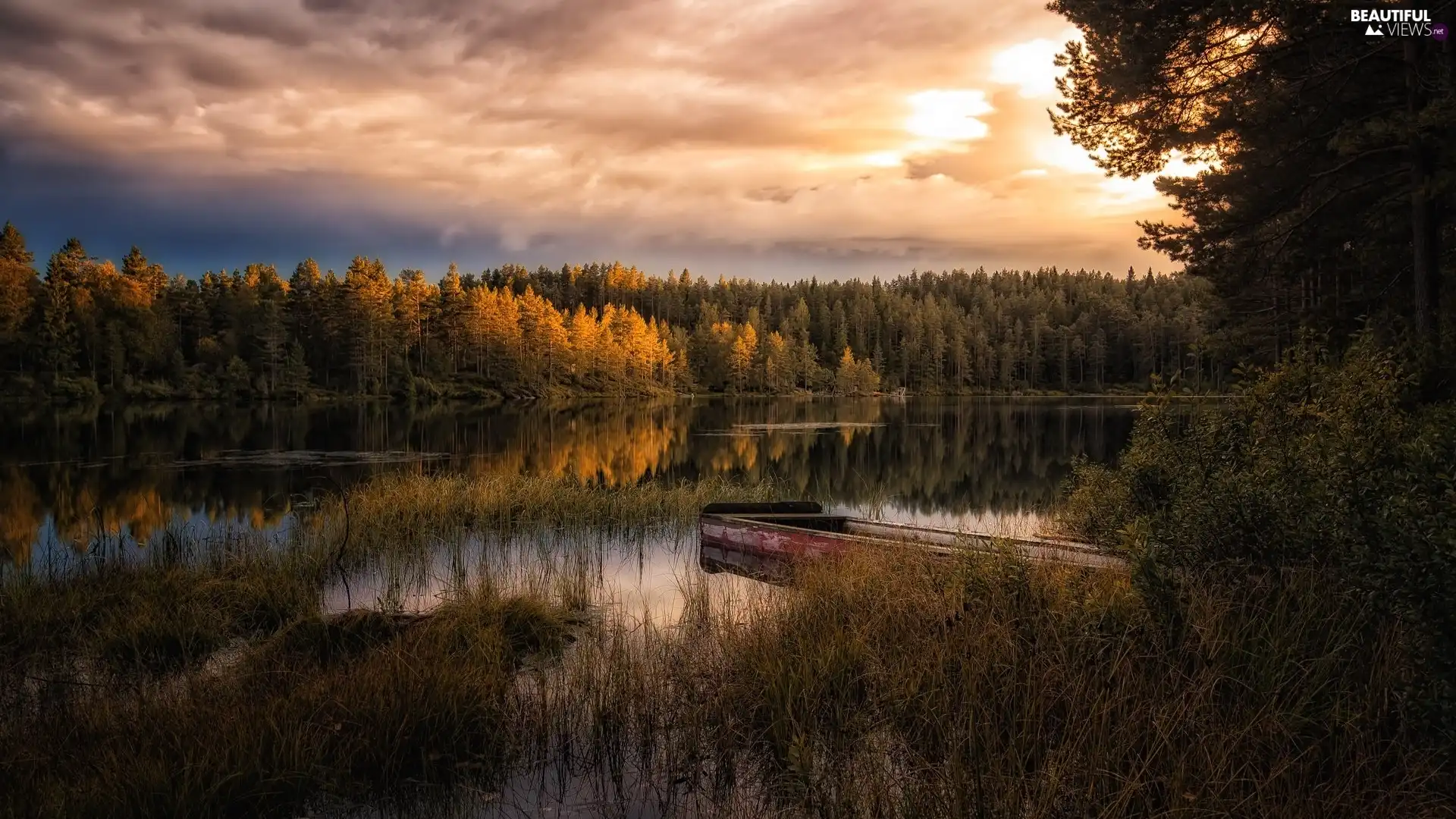 scrub, Boat, lake, forest, autumn