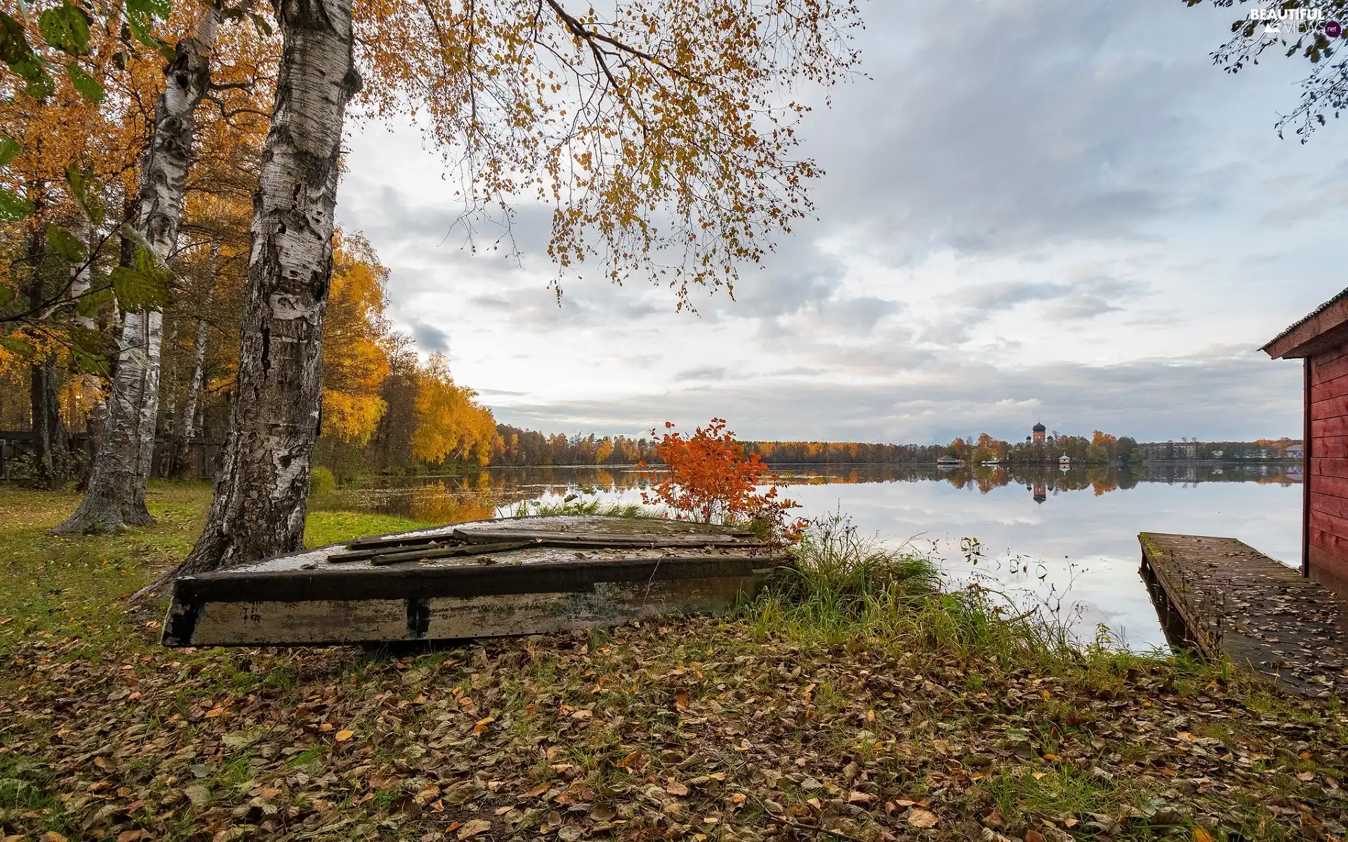 forest, lake, viewes, Boat, autumn, trees, birch