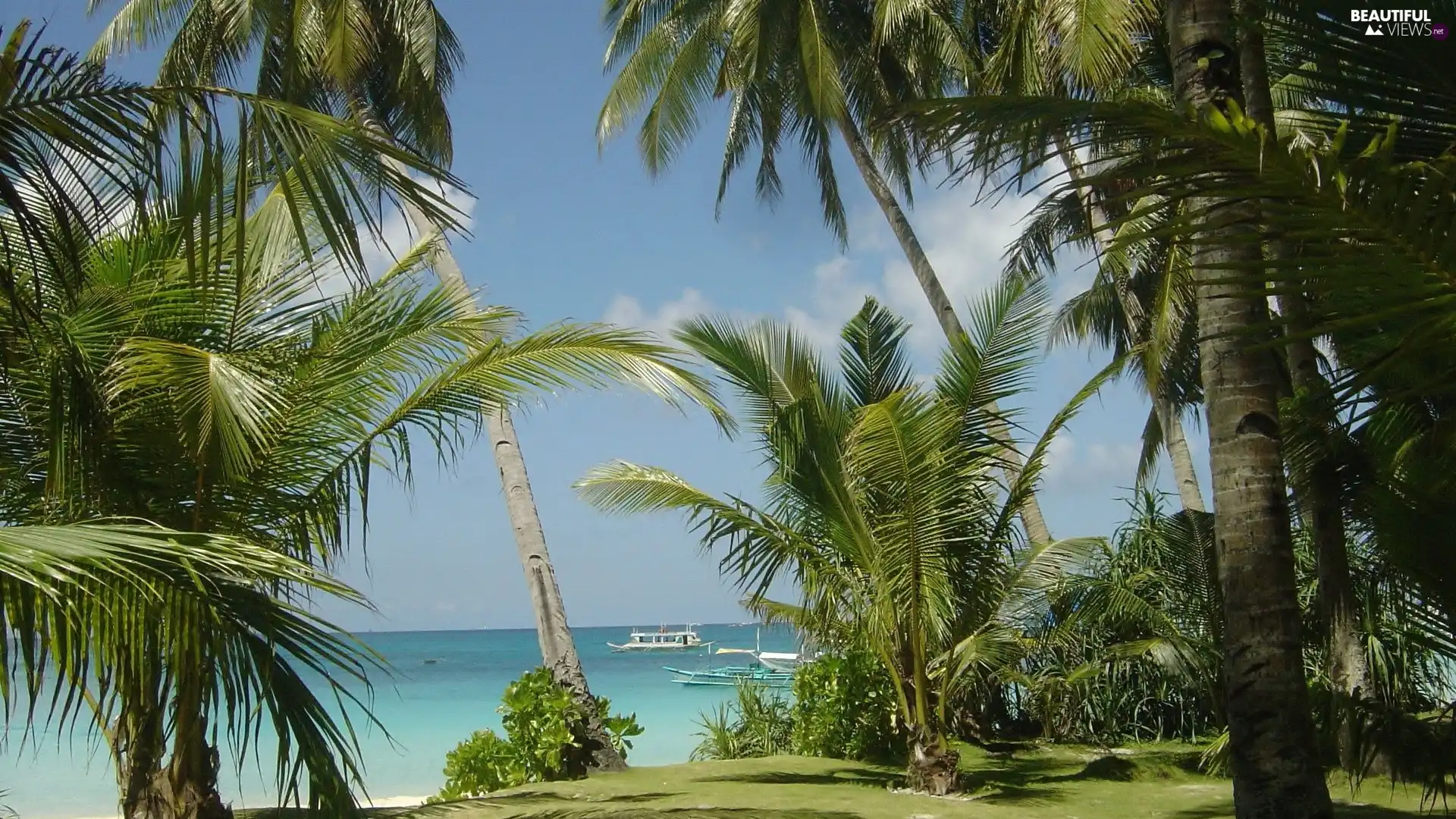 Sand, water, Boats, Palms