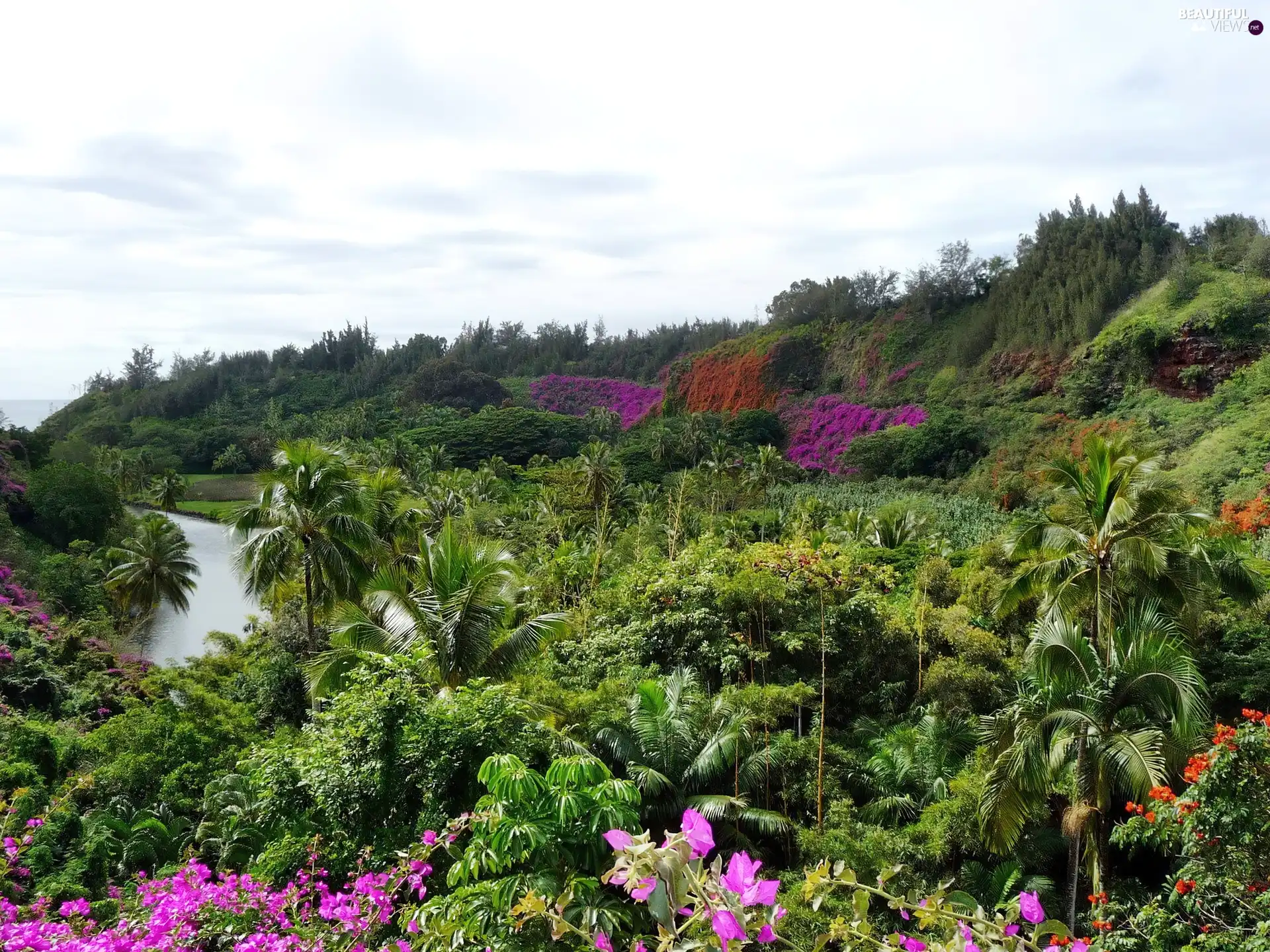 Aloha State Hawaje, Garden, botanical