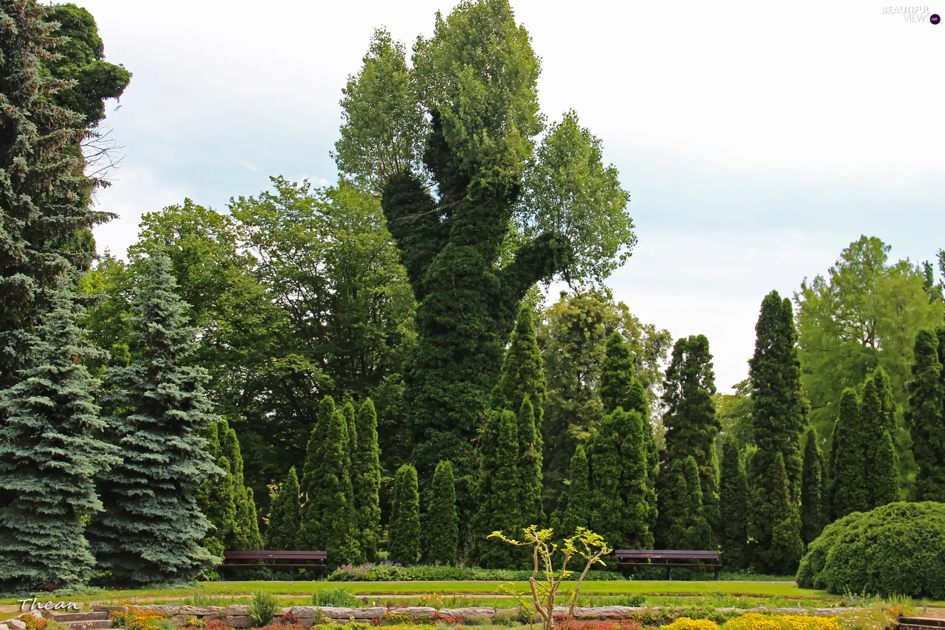 botanical, Poznań, viewes, Garden, trees