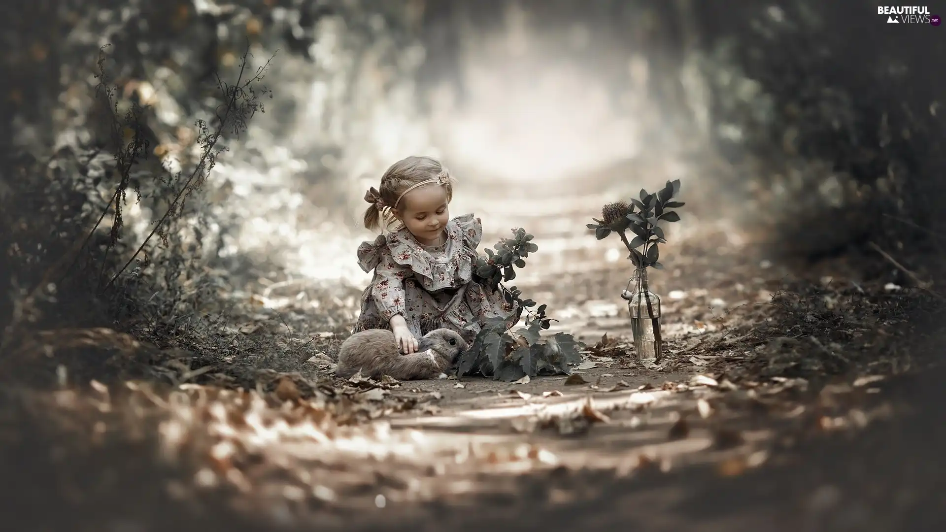 Bottle, Plants, Bunny, Way, girl