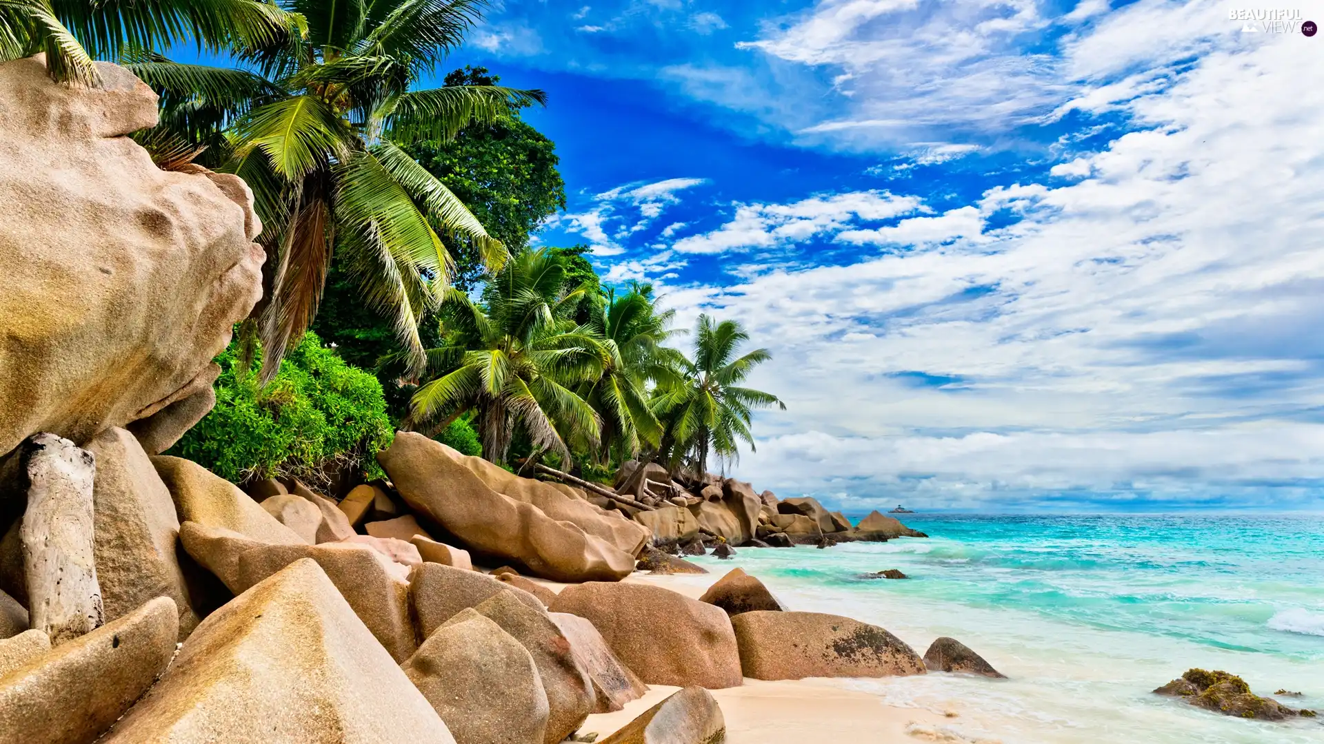 Palms, rocks, sea, boulders, Seychelles, VEGETATION, clouds