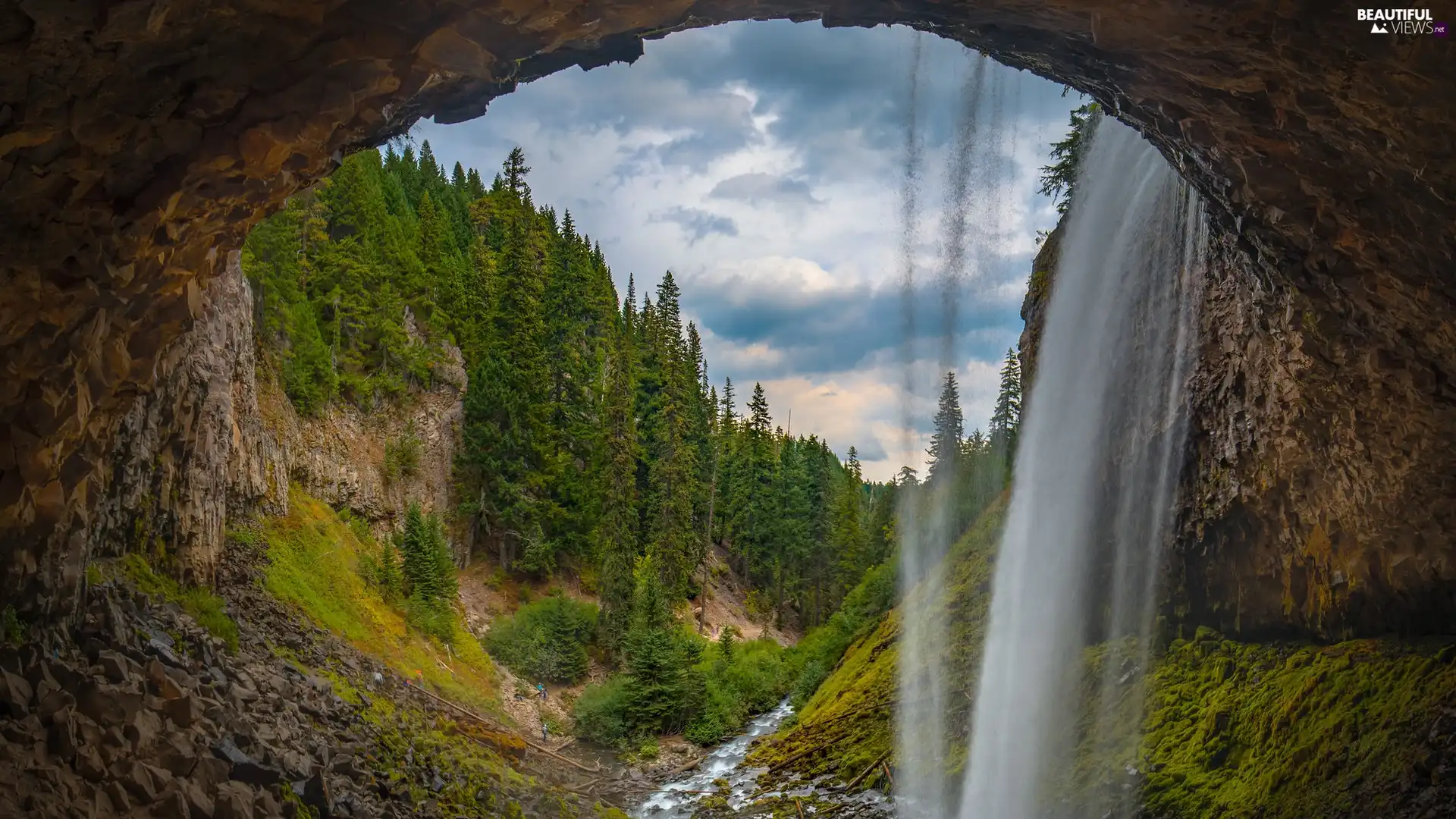 waterfall, rocks, Spruces, Bow