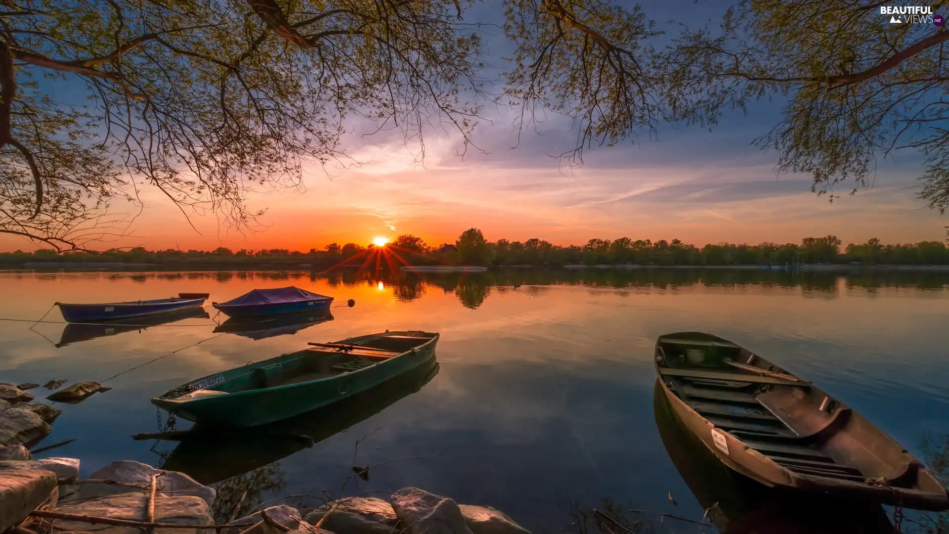 lake, Great Sunsets, branch pics, boats