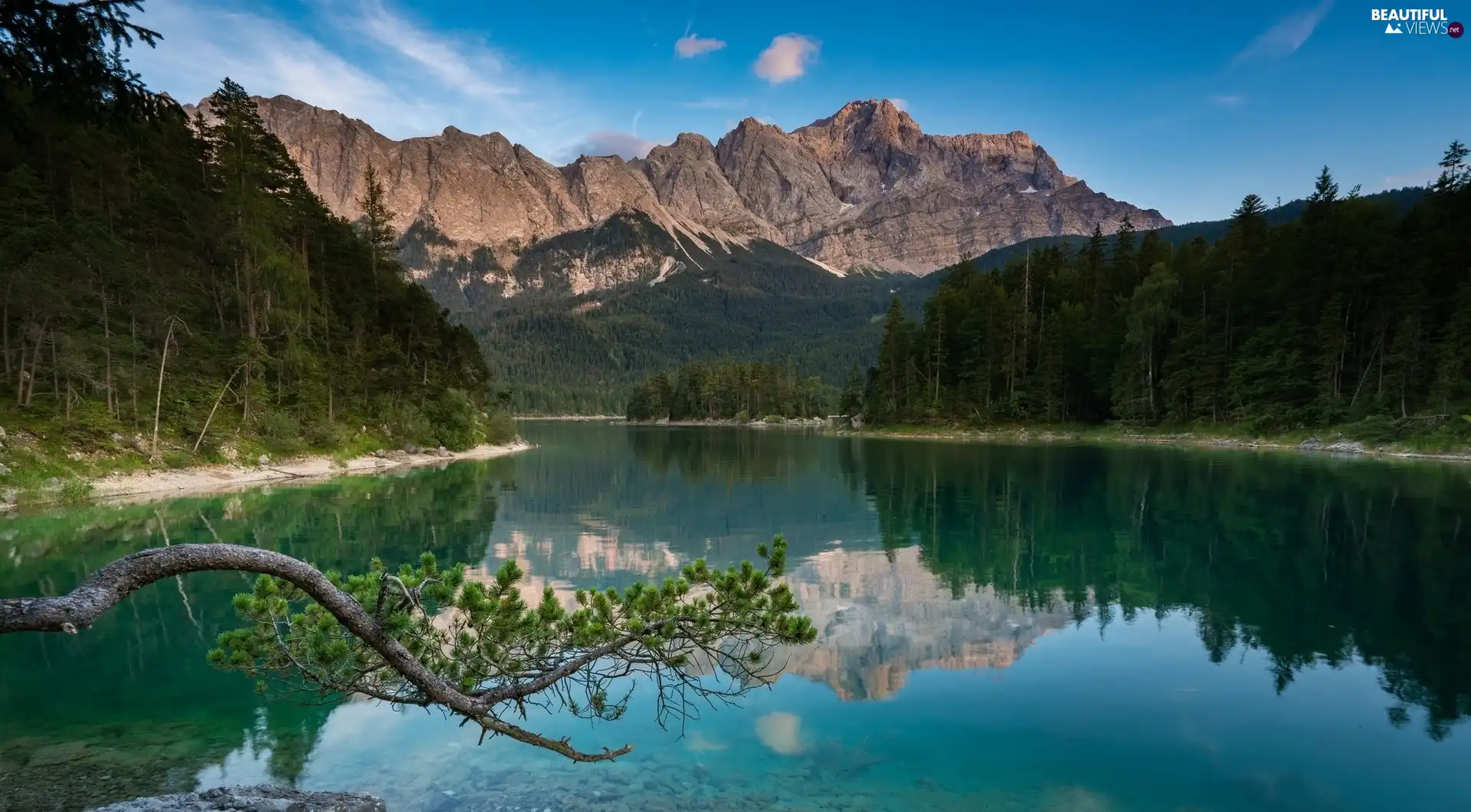trees, Mountains, reflection, branch, viewes, lake