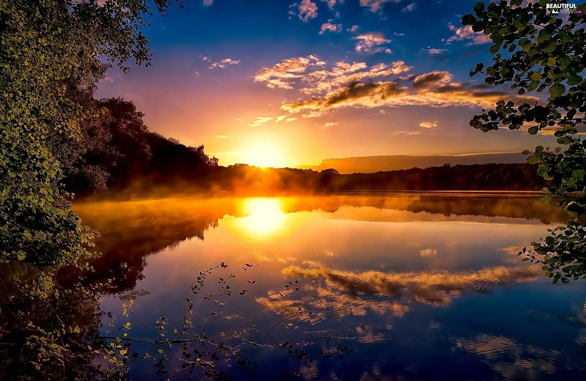 Sunrise, lake, branch pics