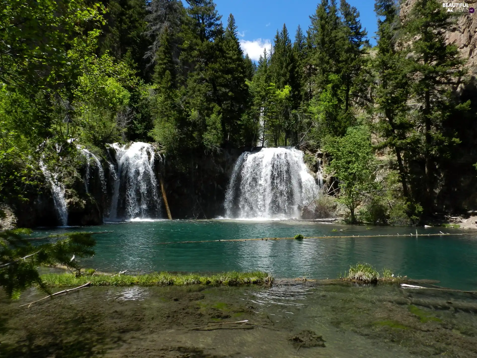 waterfall, viewes, branch pics, trees