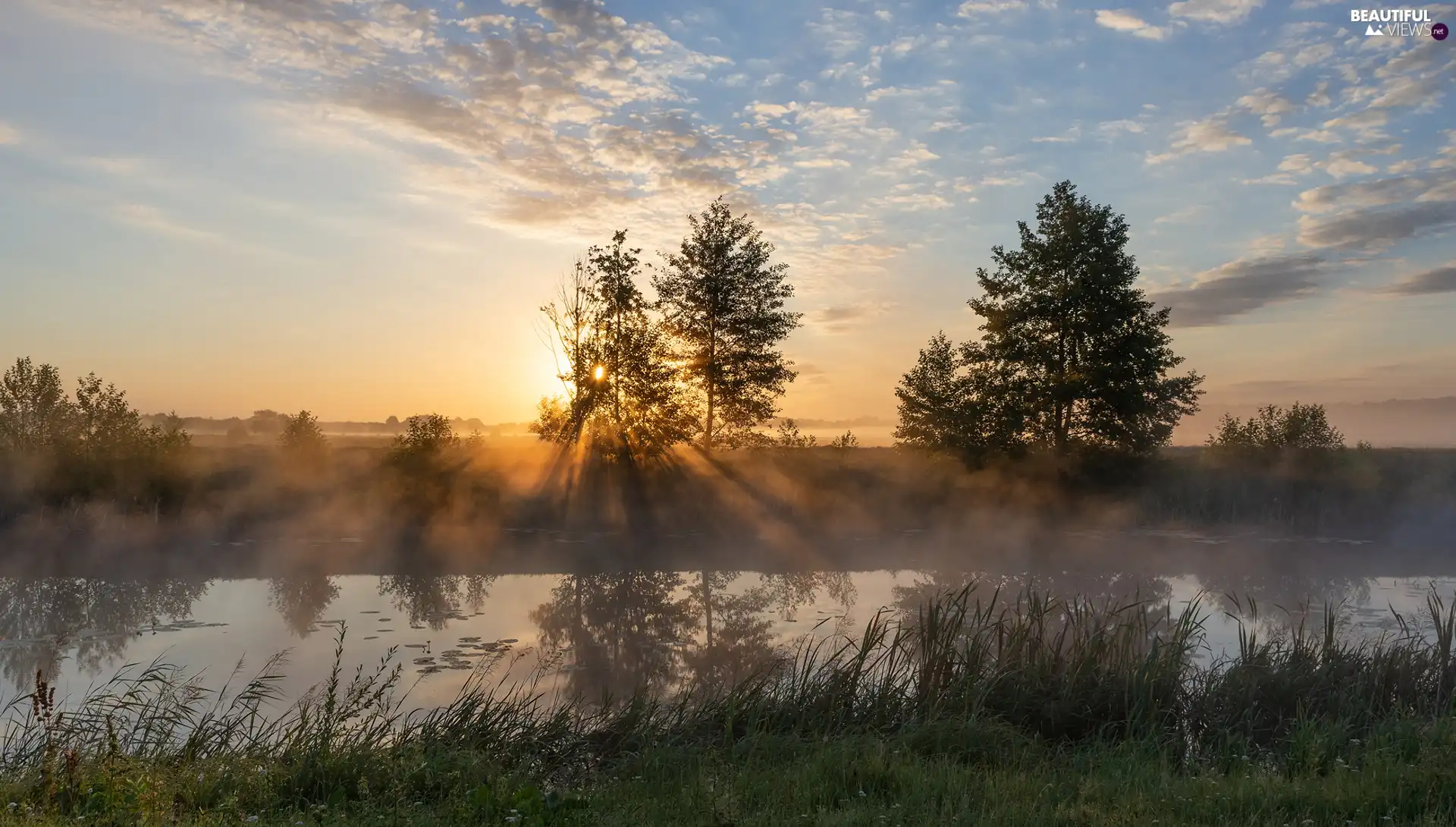 River, viewes, light breaking through sky, trees