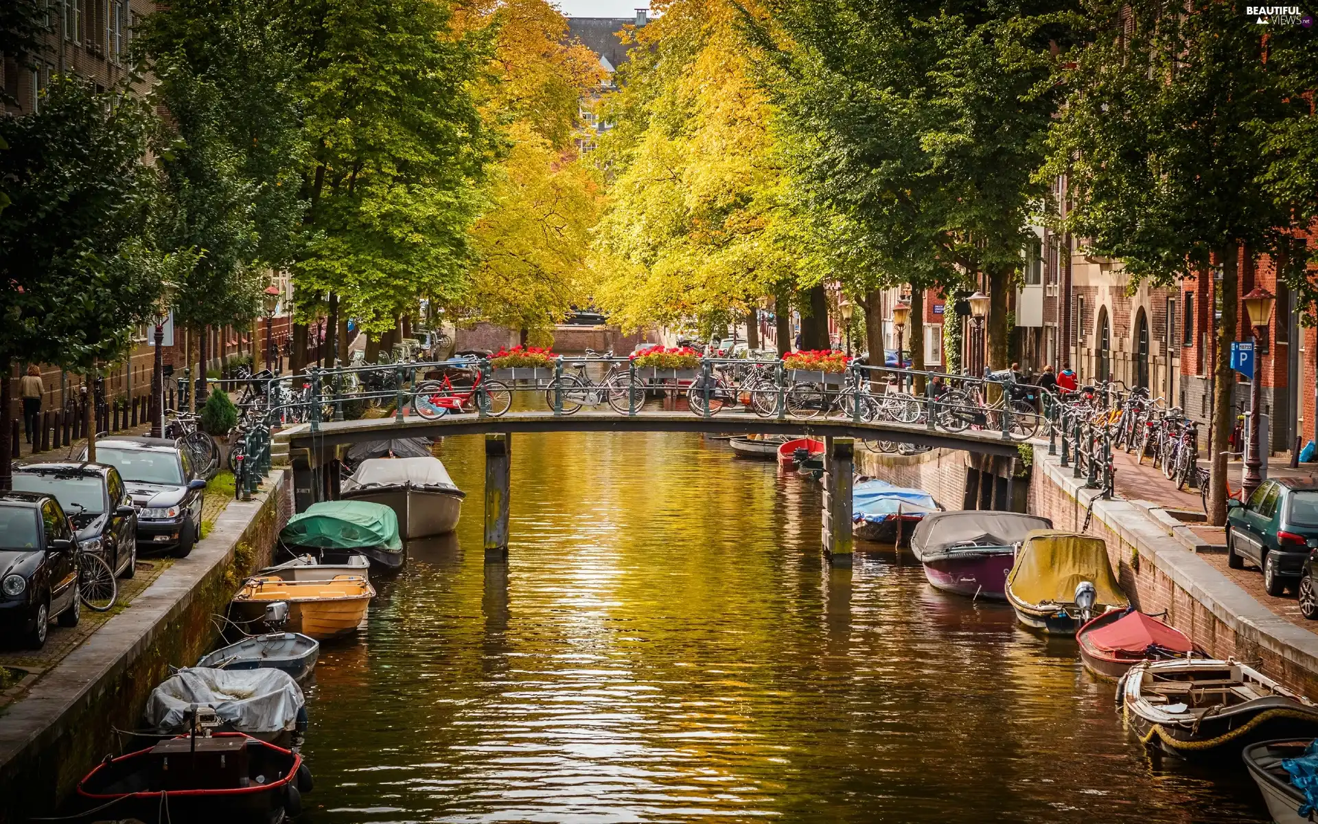 canal, Netherlands, bridge, autumn, Boats, Amsterdam