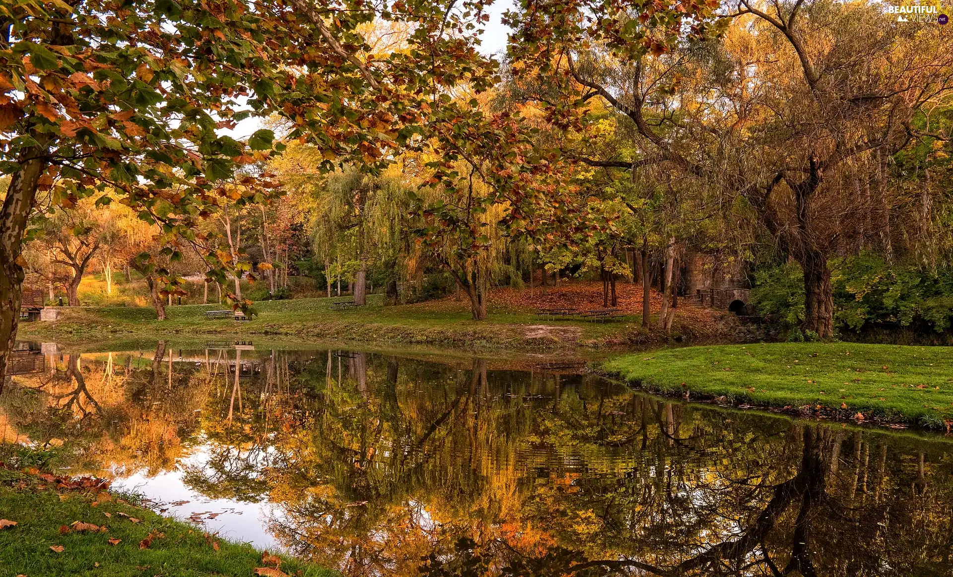 viewes, Park, bench, trees, autumn, Pond - car, bridge