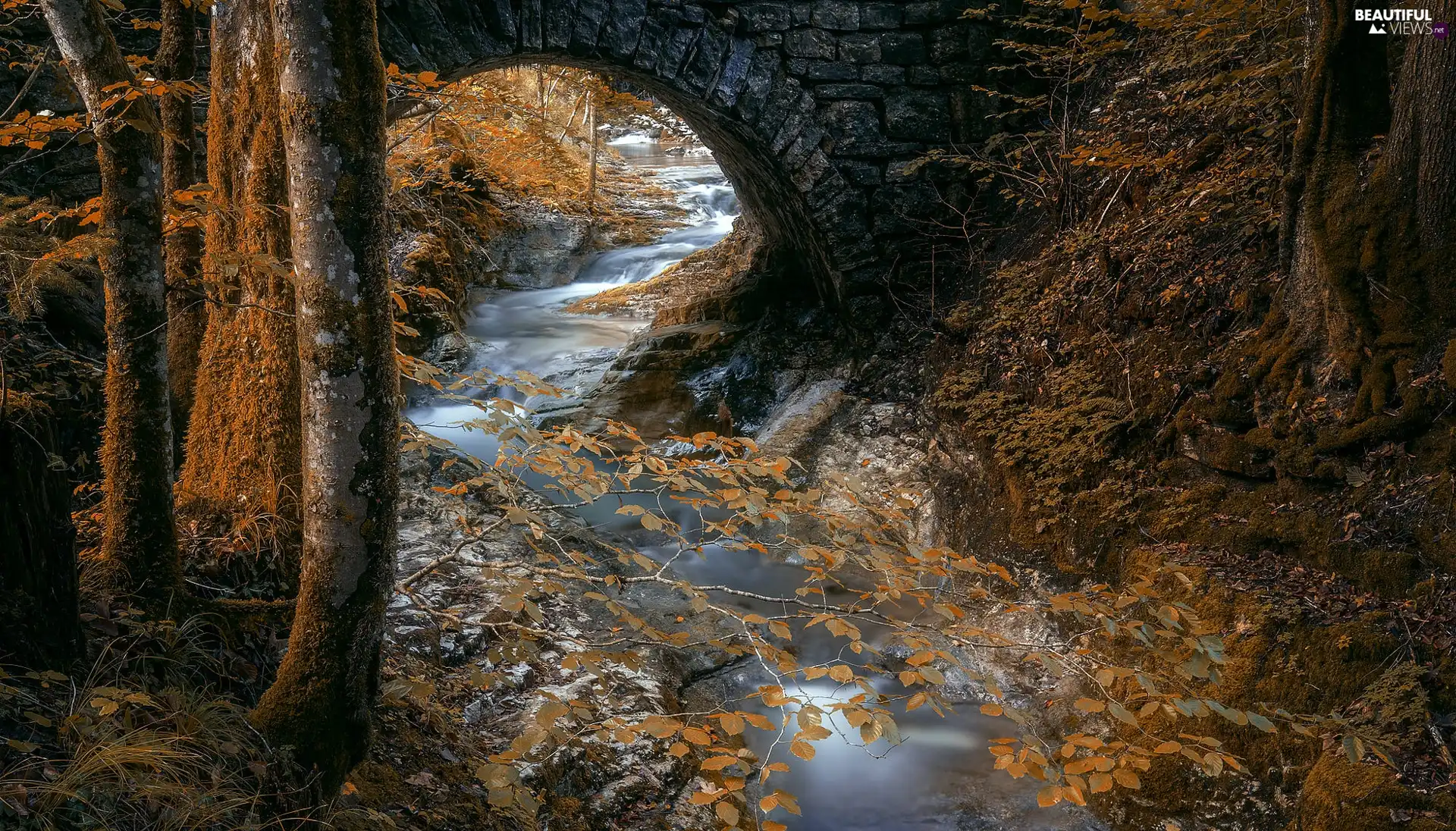 stone, bridge, forest, River, autumn