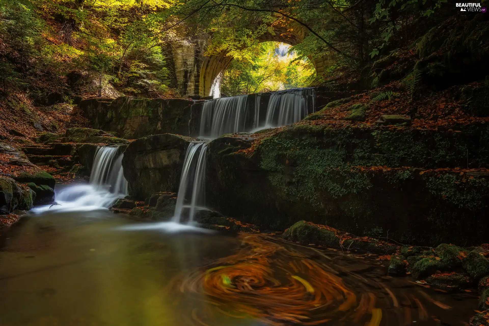 forest, waterfall, Rocks, bridge