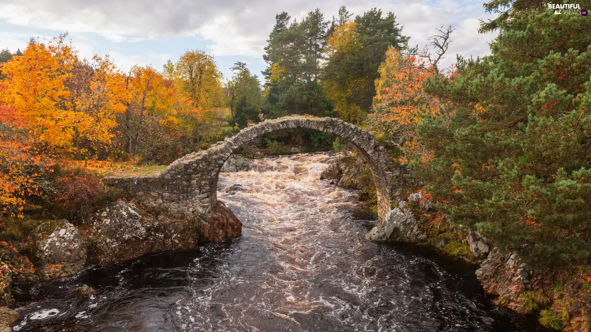 trees, stone, forest, bridge, River, viewes, autumn