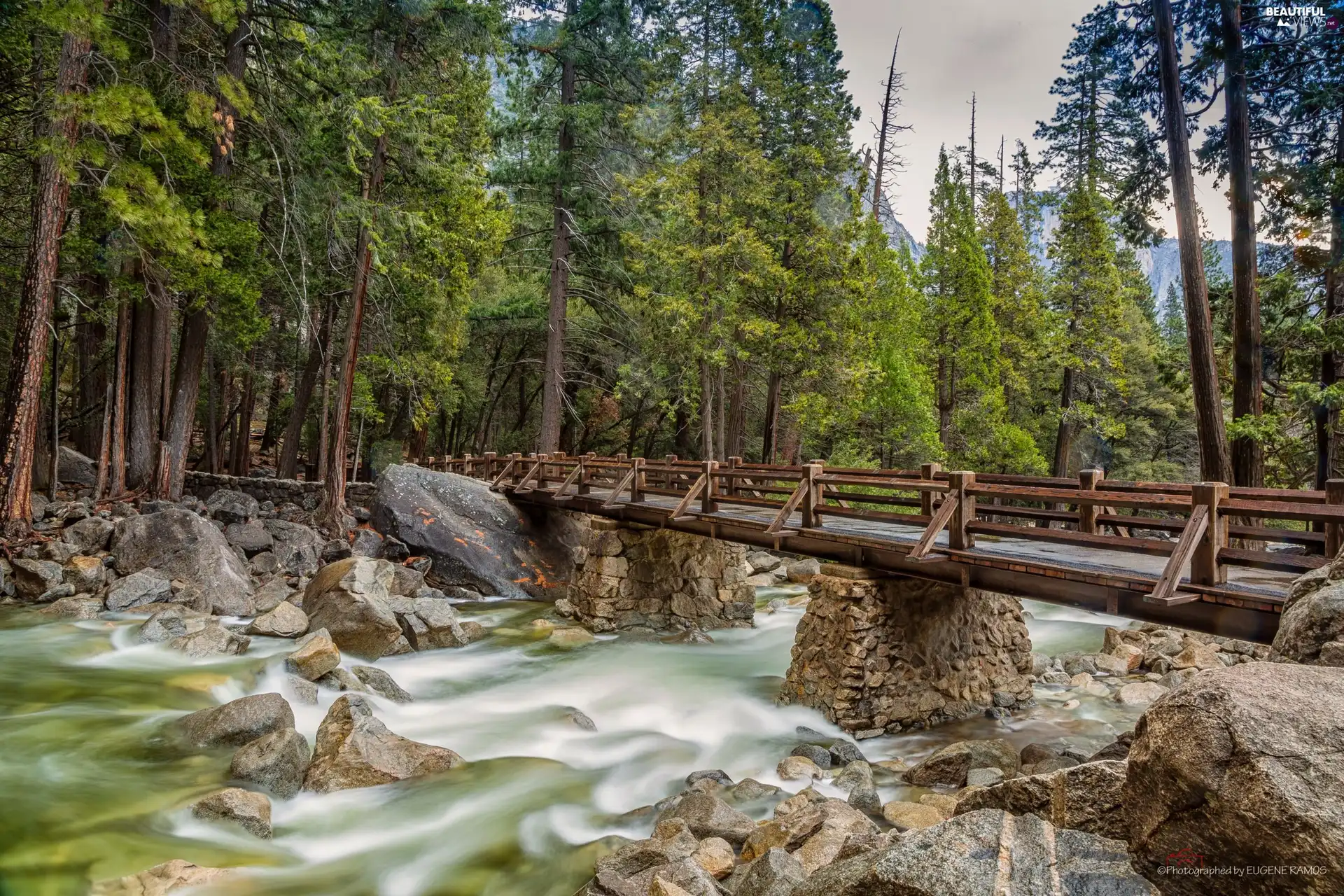 bridge, forest, River, Stones, tear