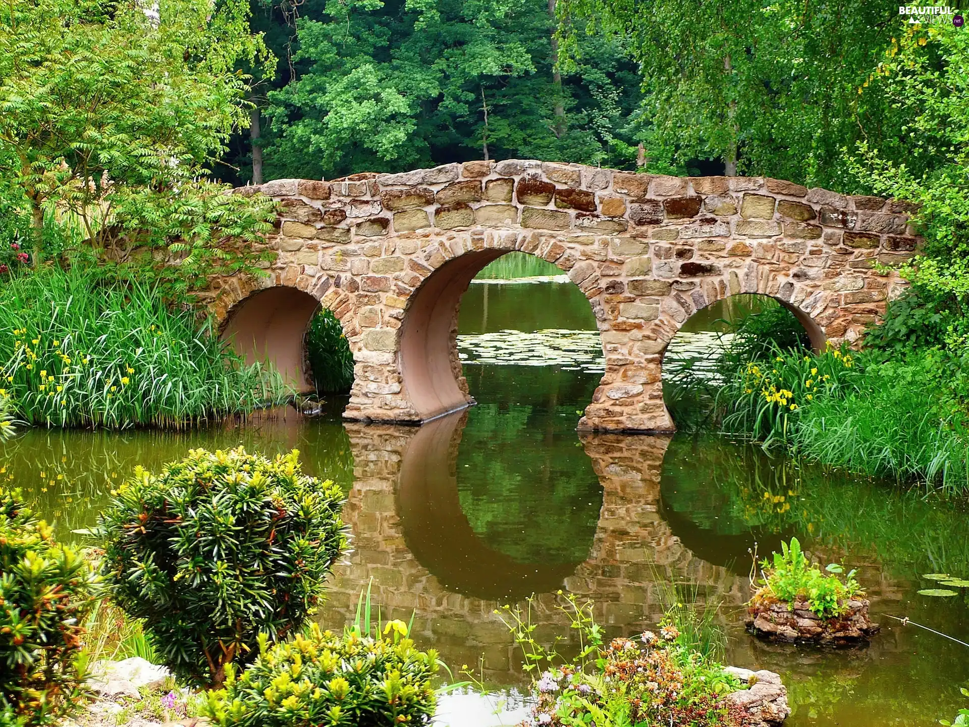 Park, stone, bridge, River