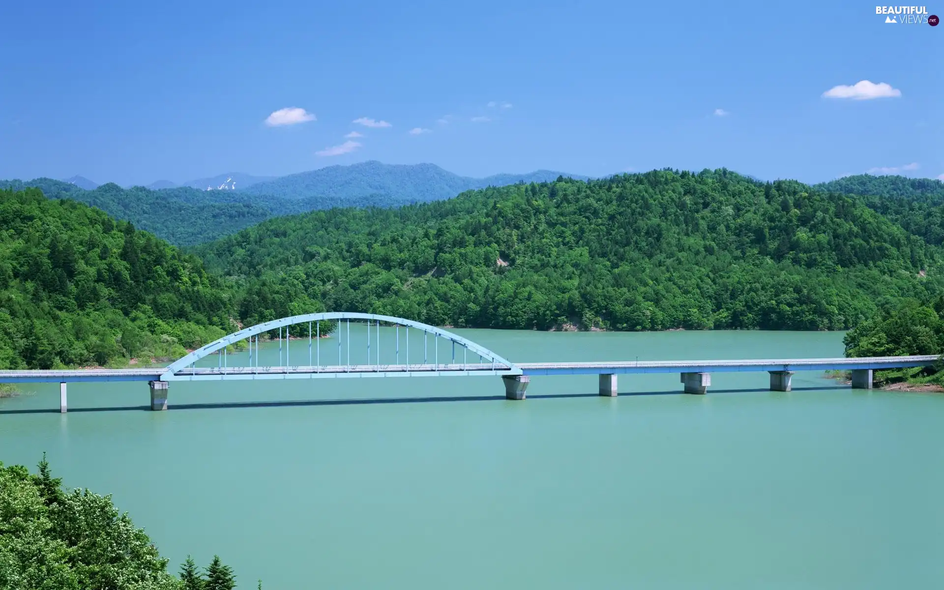 green ones, River, bridge, The Hills