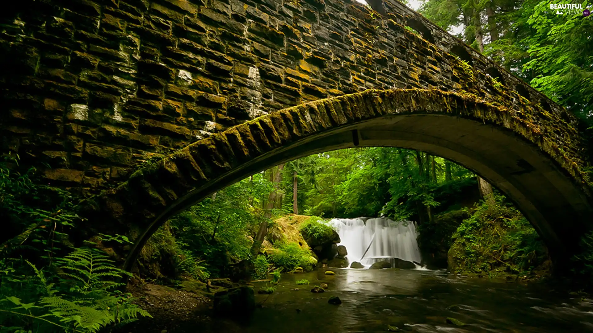 bridge, River, waterfall