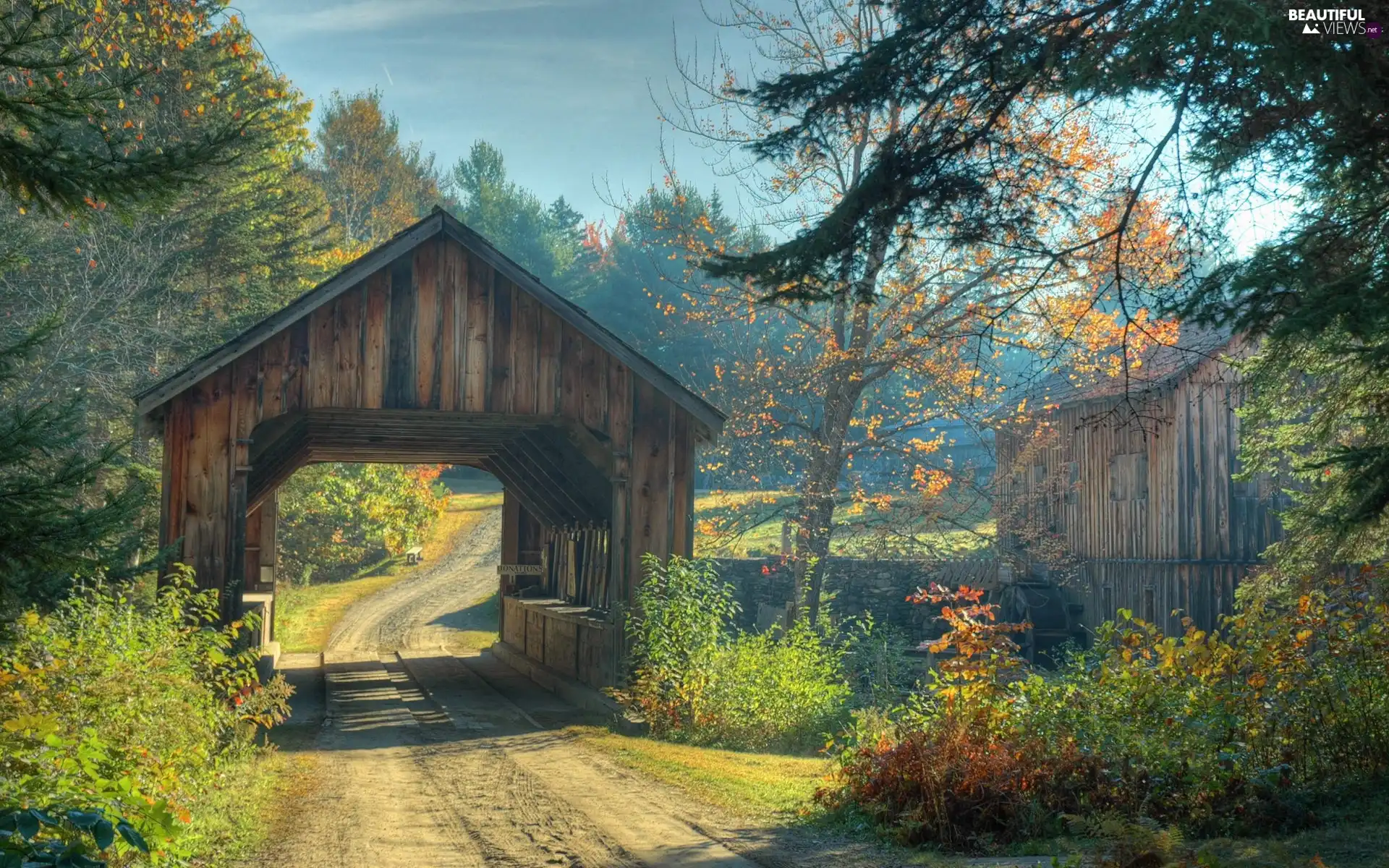 bridges, autumn, Windmill, water, forest