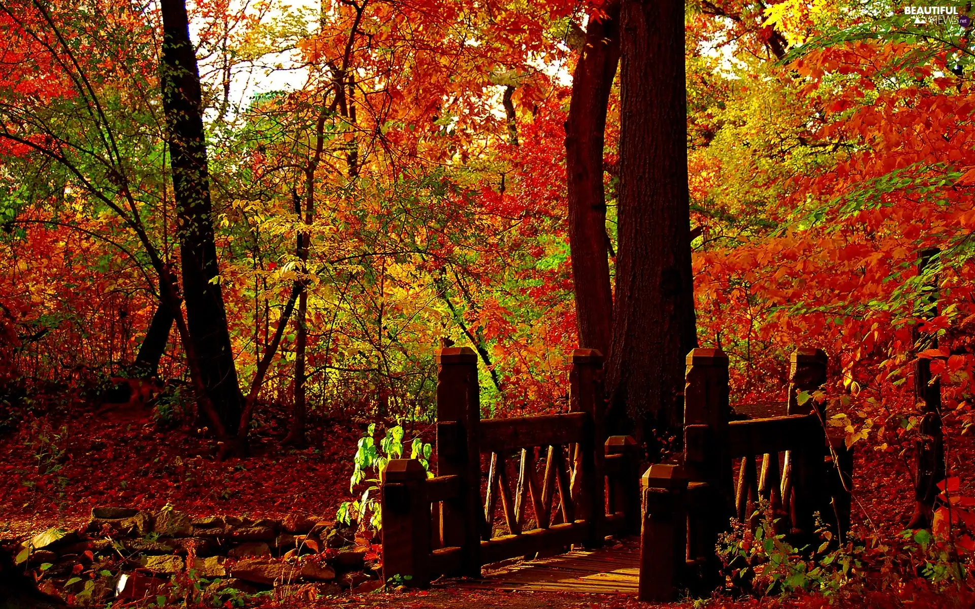 bridges, autumn, trees, viewes, Park