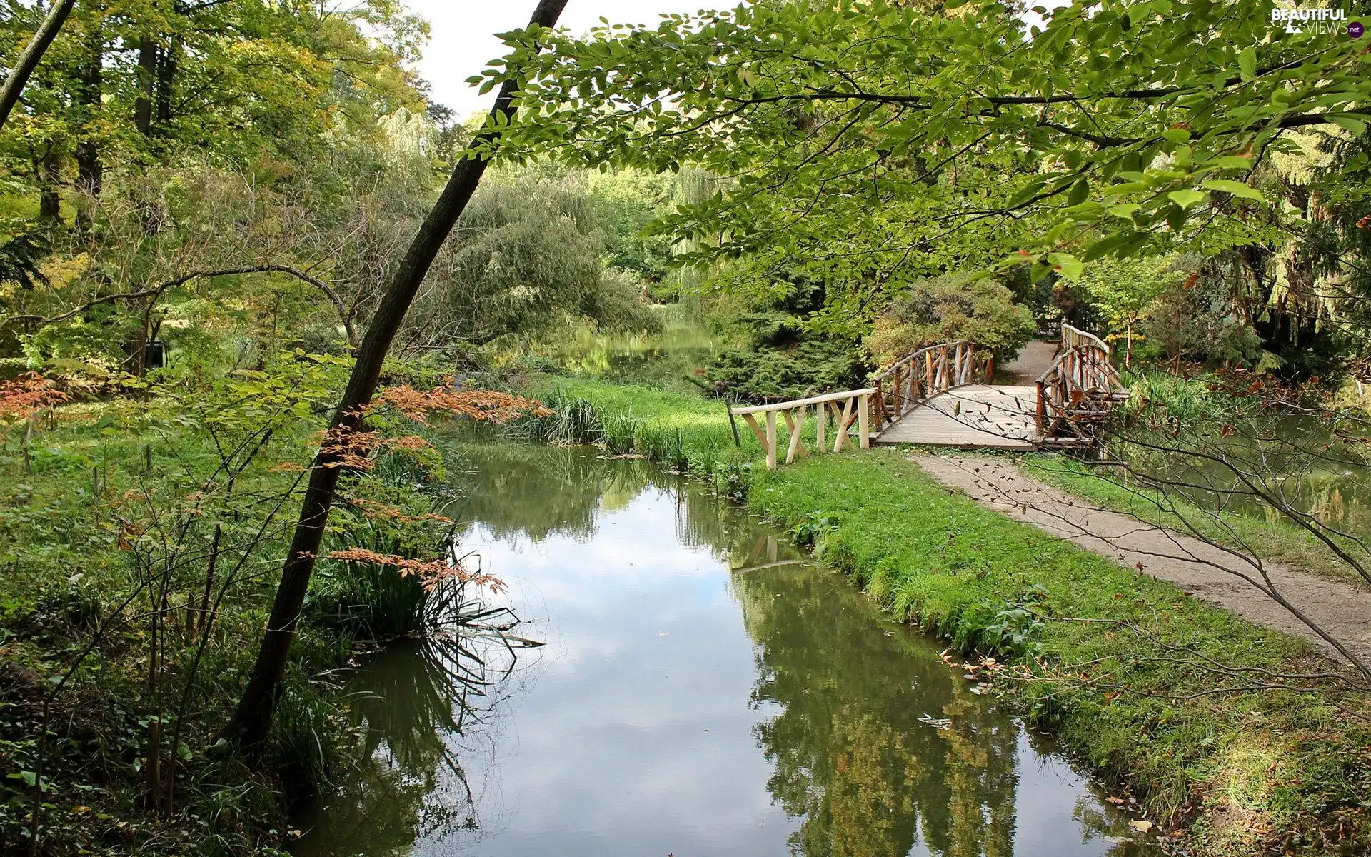 bridges, Park, brook