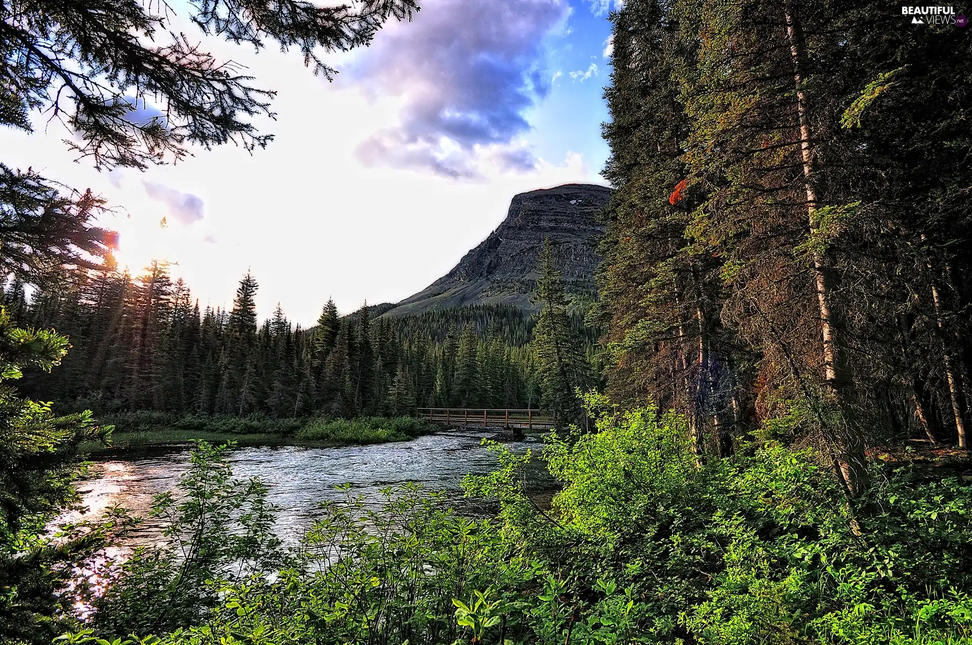 forest, Mountains, bridges, River