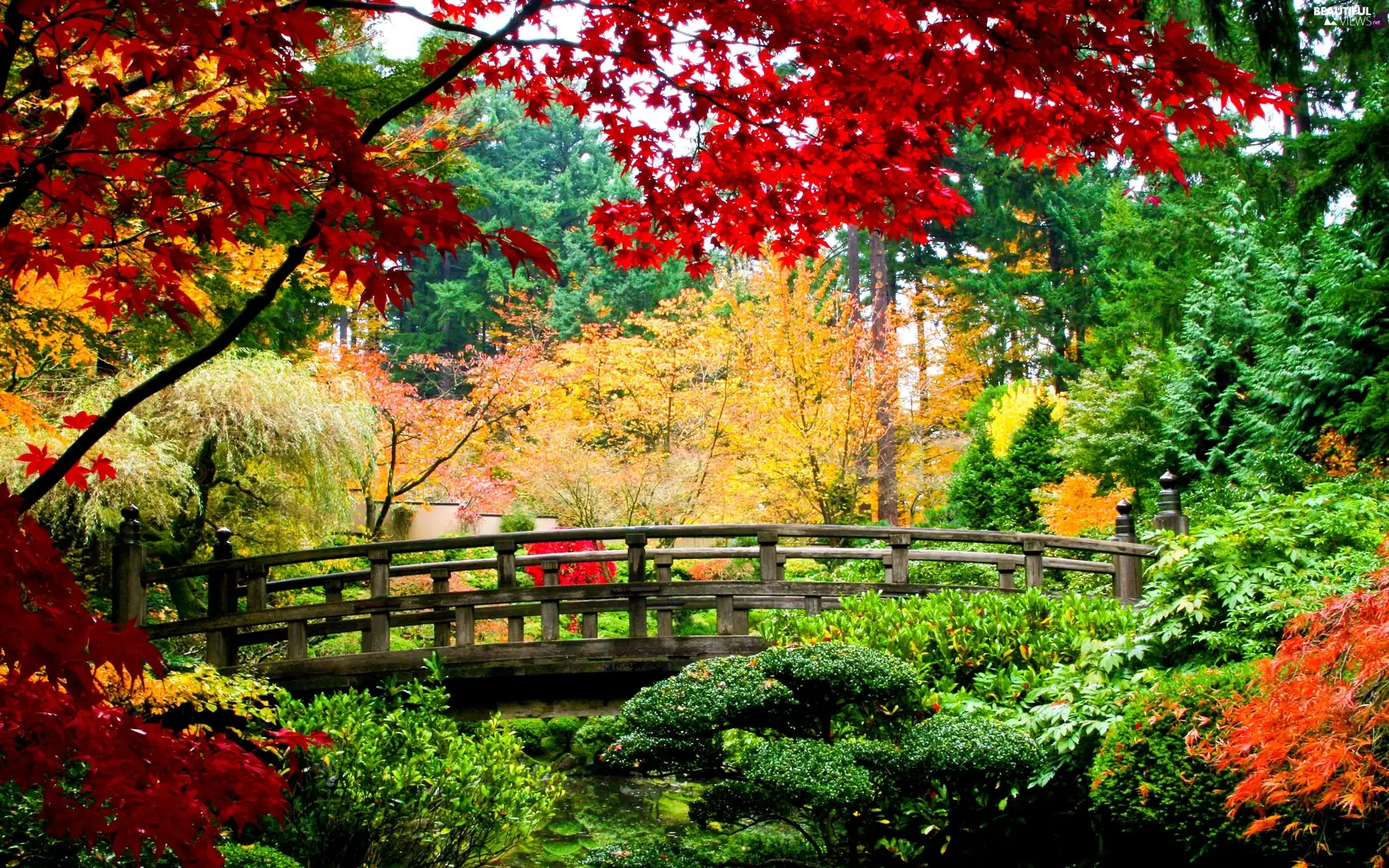 bridges, autumn, Park