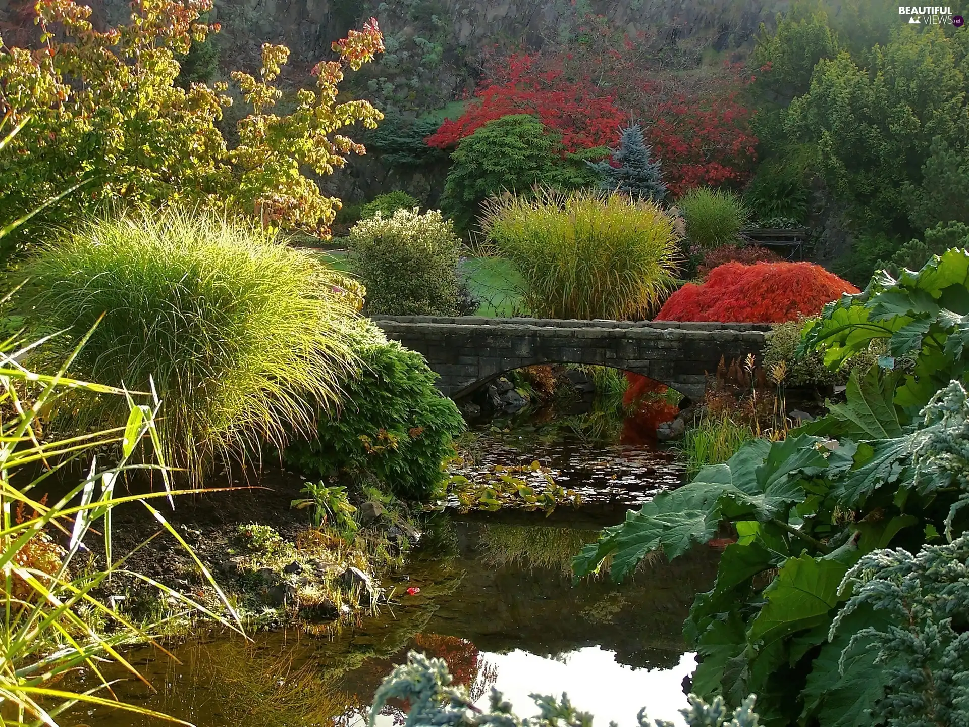 bridges, green, Pond - car, stone, Park