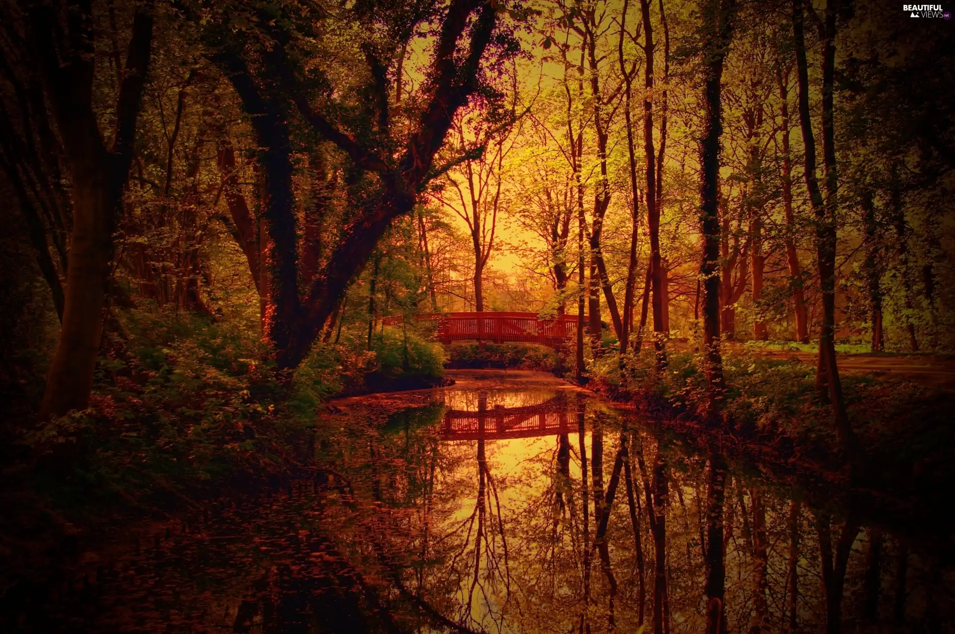 bridges, autumn, River
