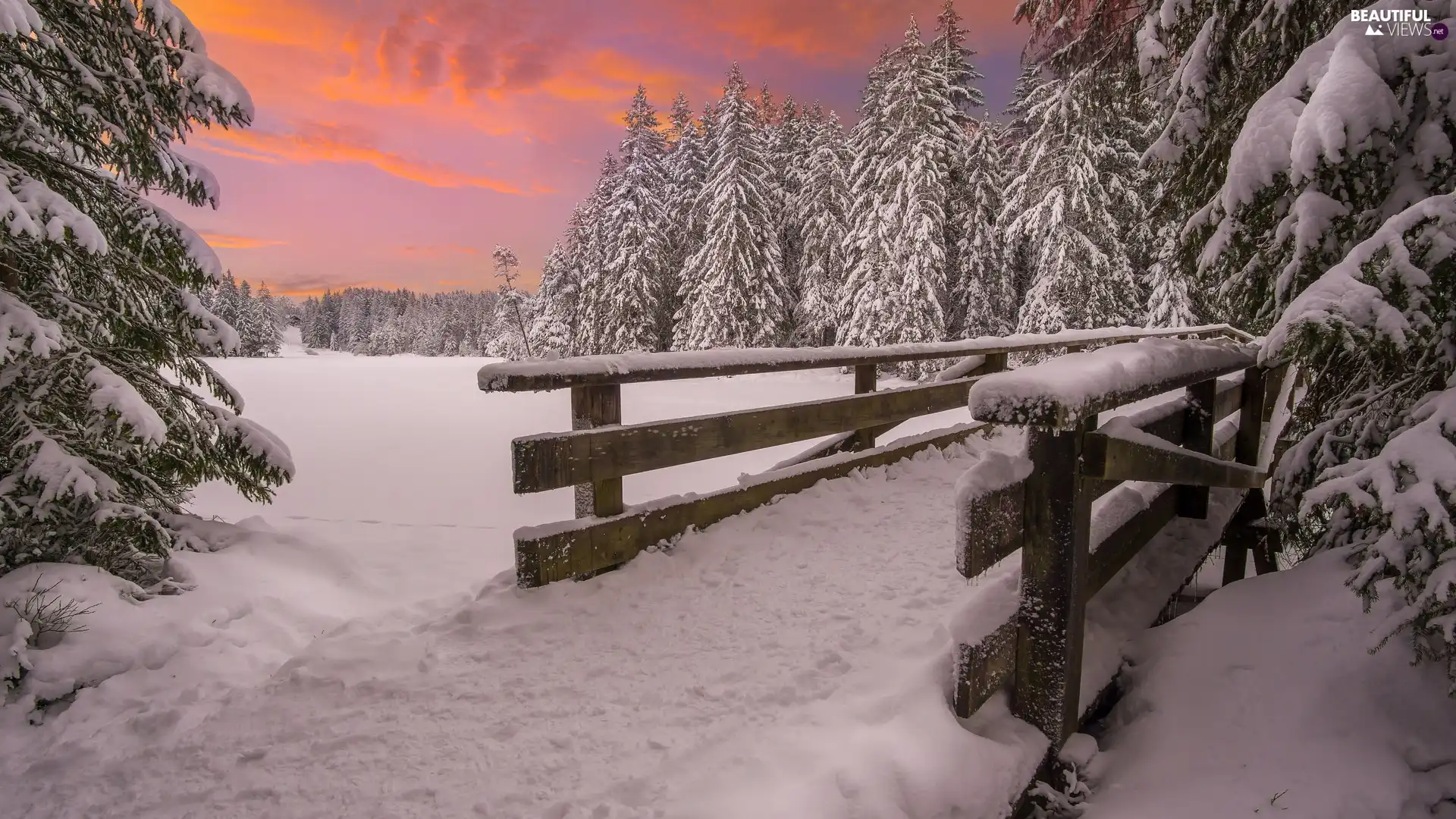 viewes, bridges, snow, trees, winter