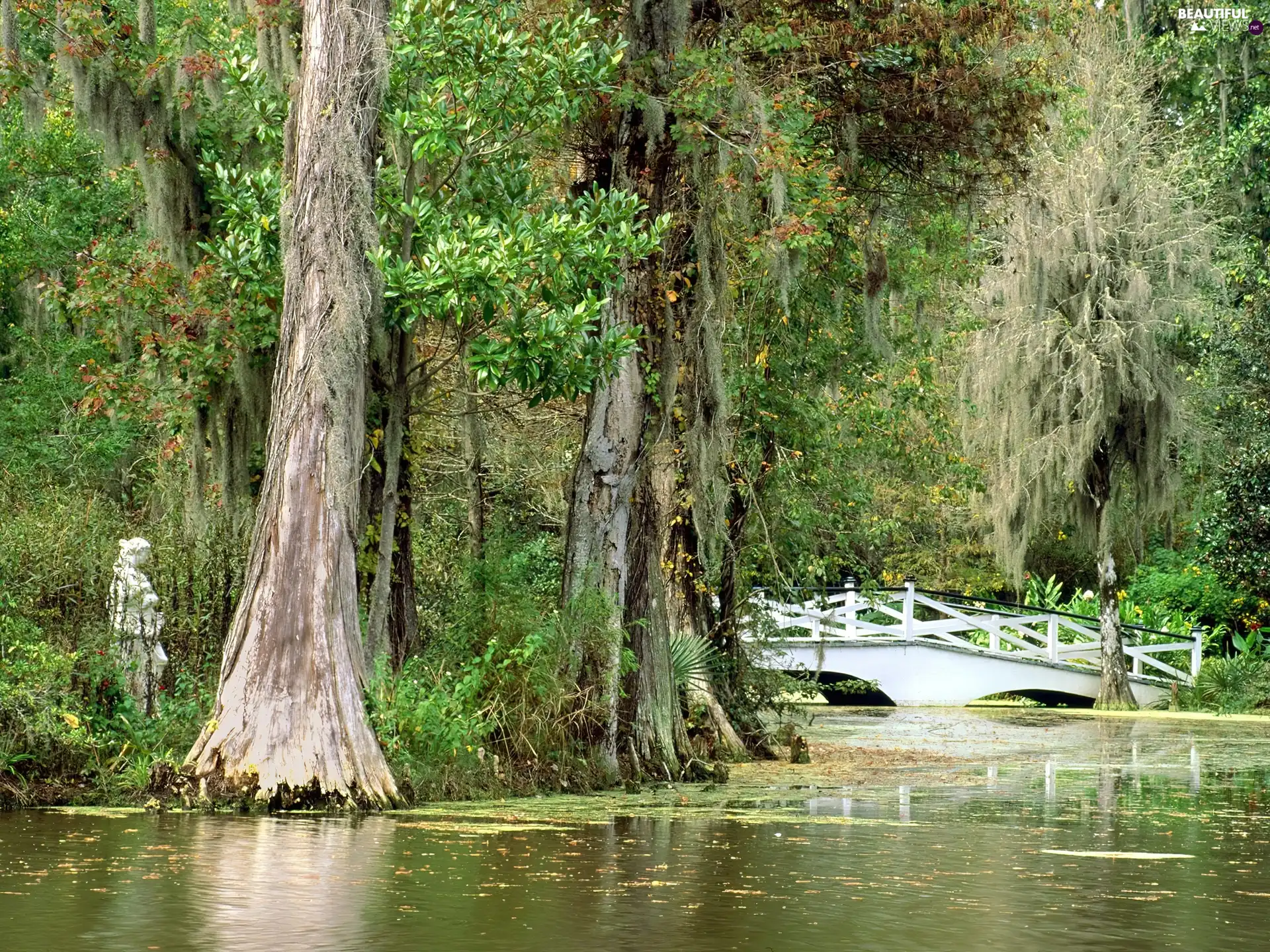 trees, River, bridges, viewes