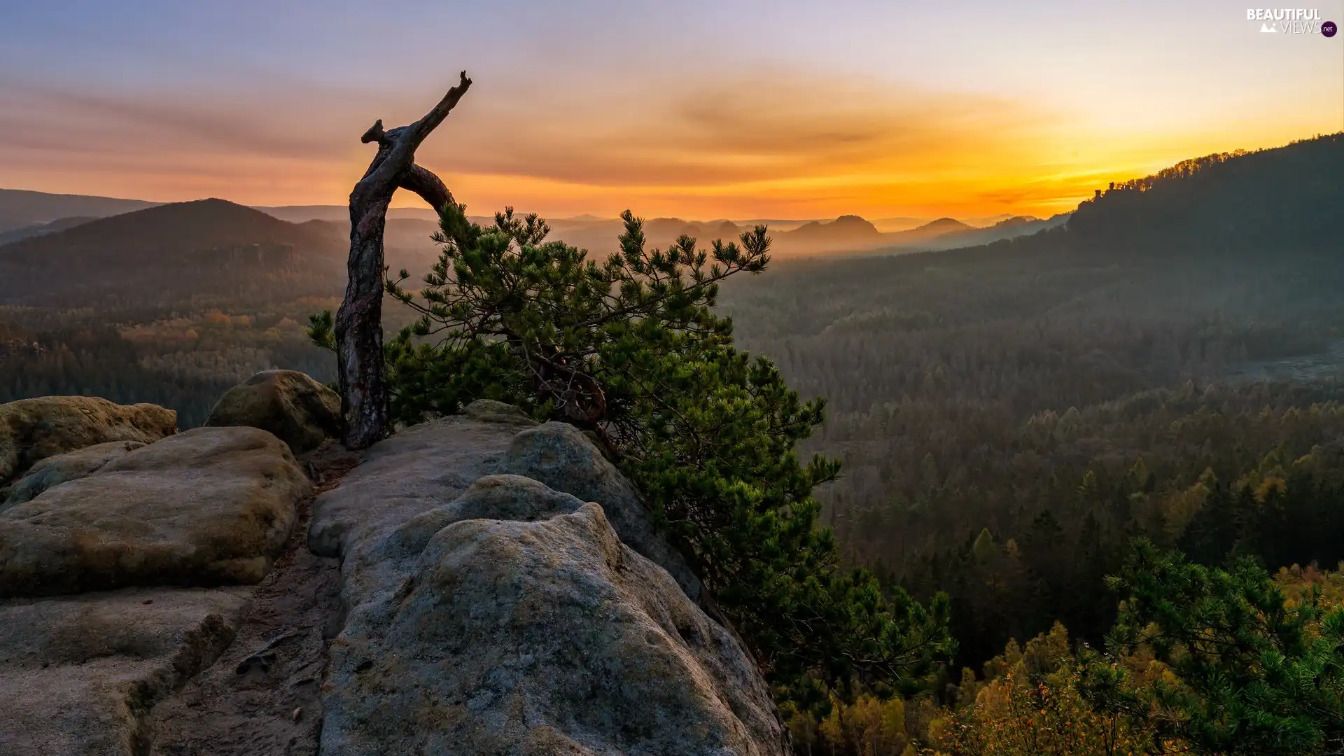 Mountains, Great Sunsets, Bright, pine, trees, rocks