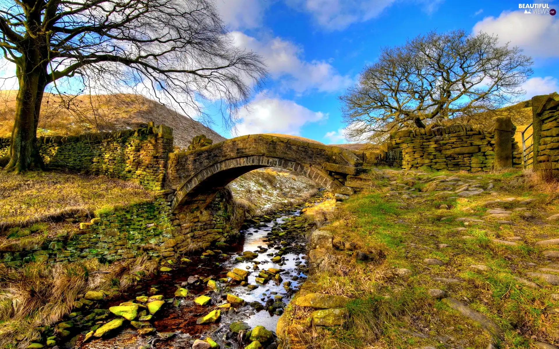 brook, stone, bridges