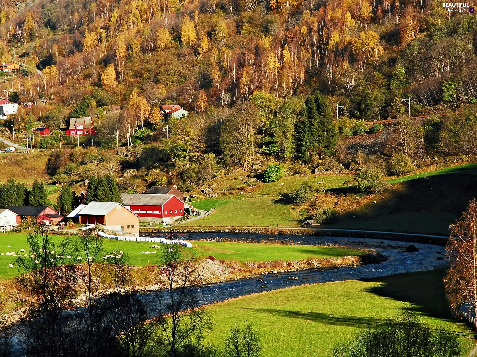 brook, autumn, buildings