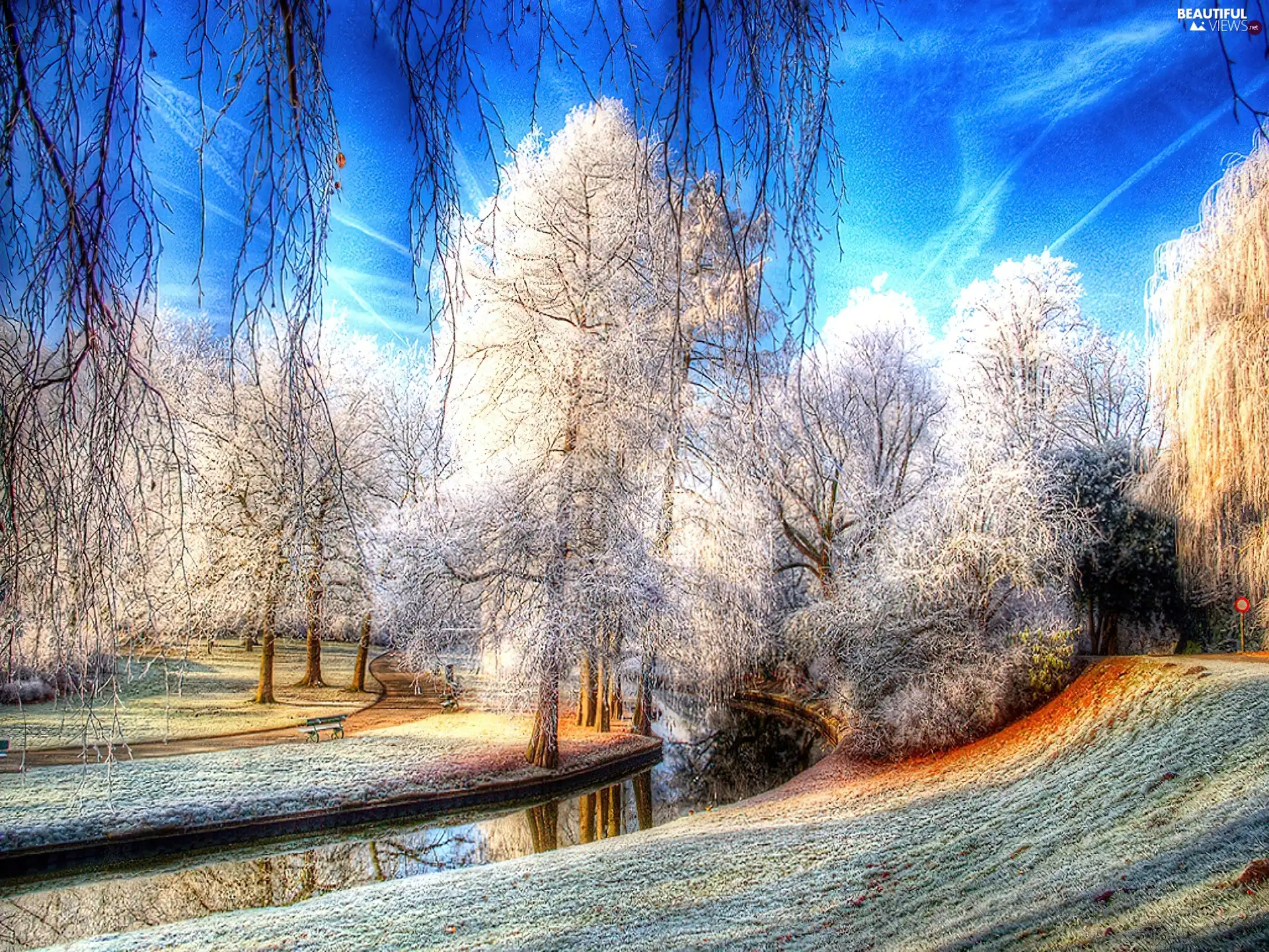 brook, White frost, trees, viewes, Park
