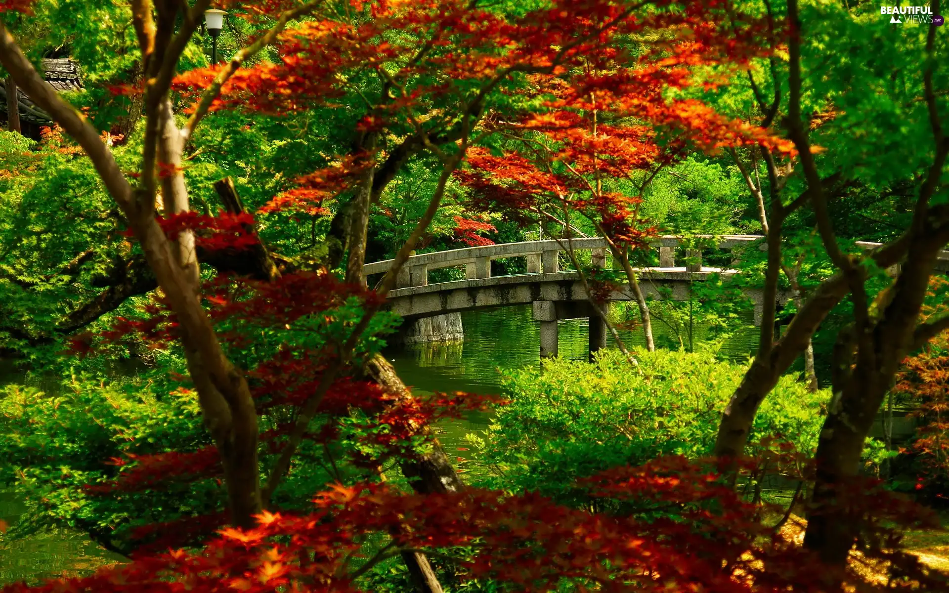 japanese, bridge, brook, Garden