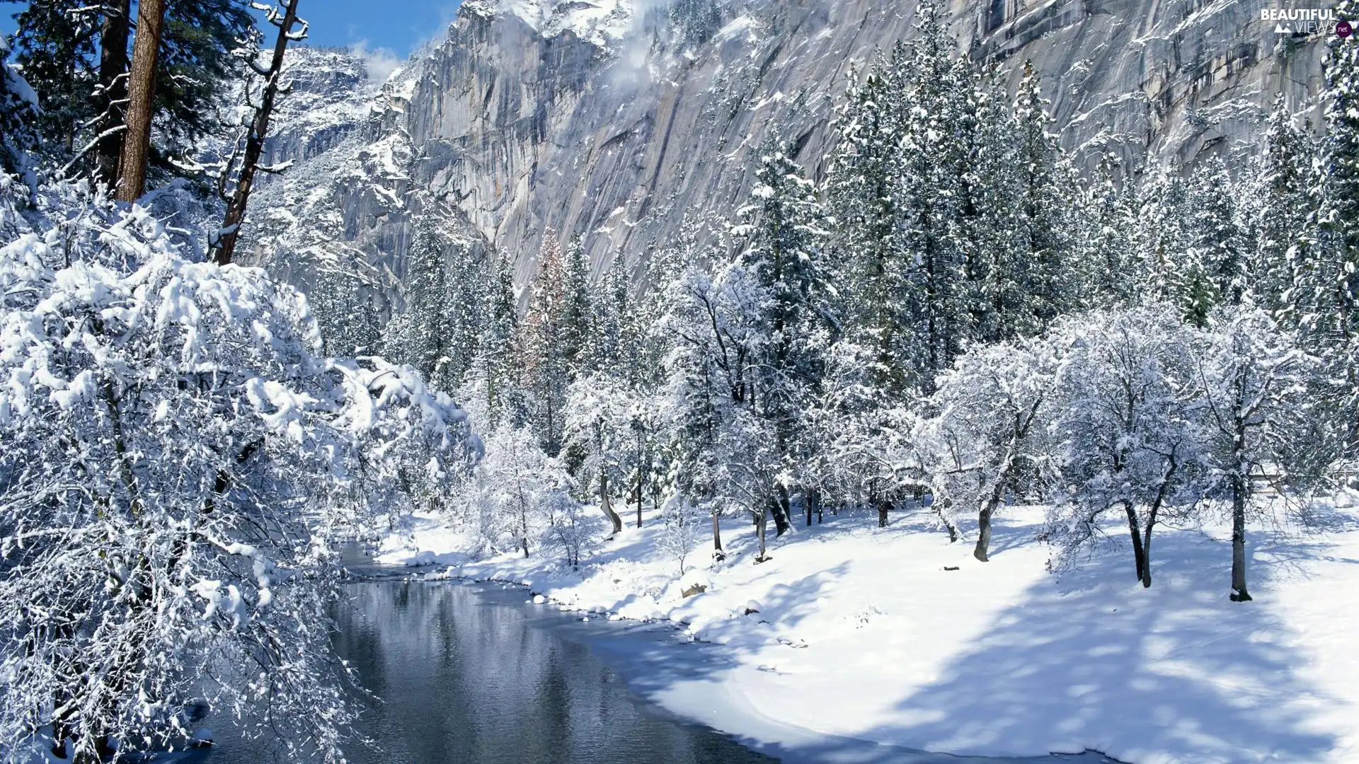 brook, Mountains, trees, viewes, winter