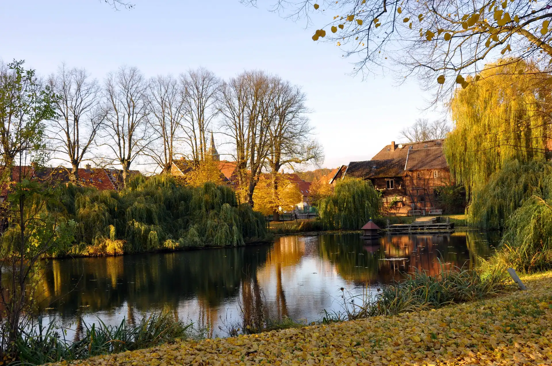 Pond - car, viewes, buildings, trees