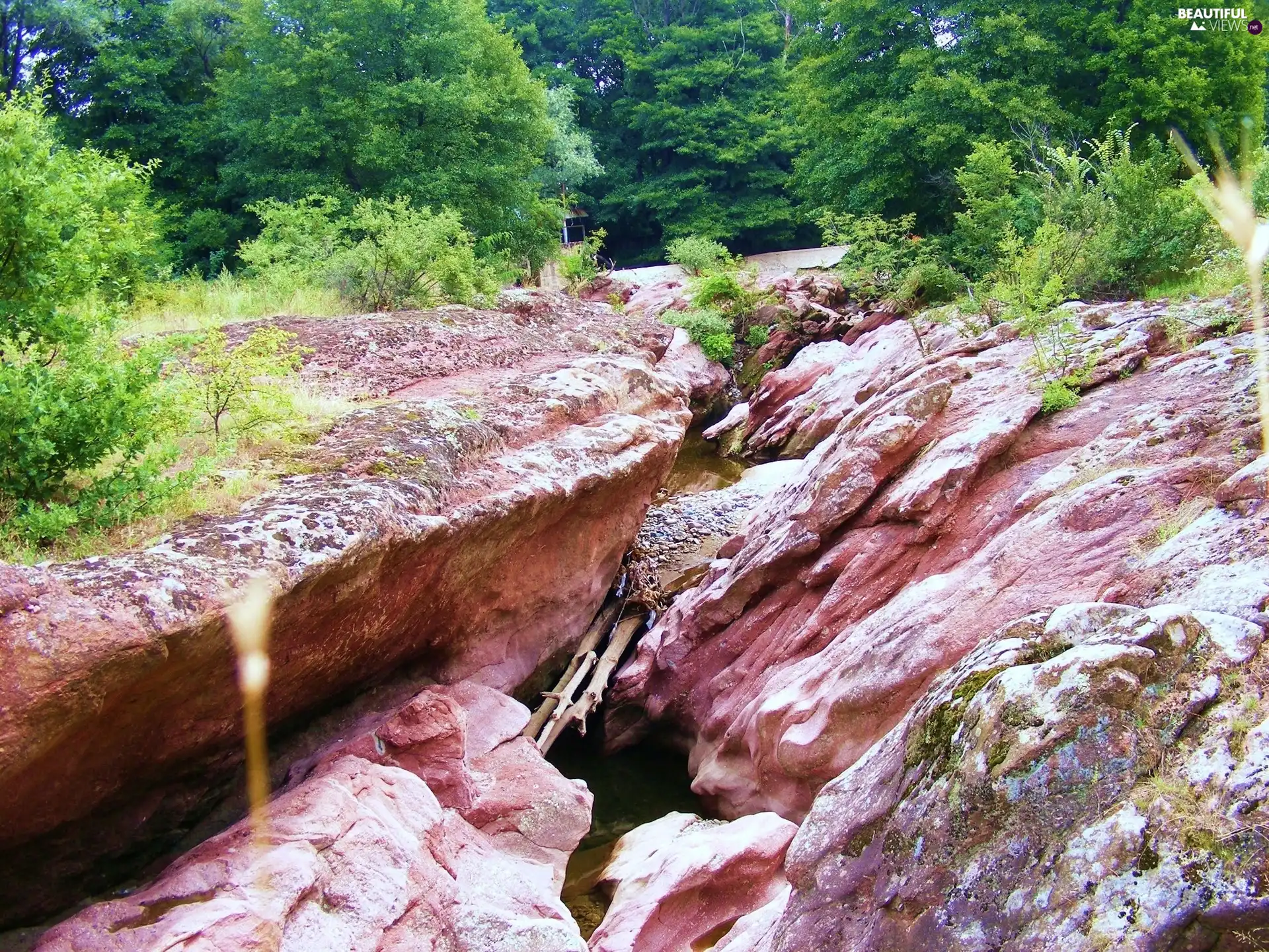 Bulgaria, Red, canyon