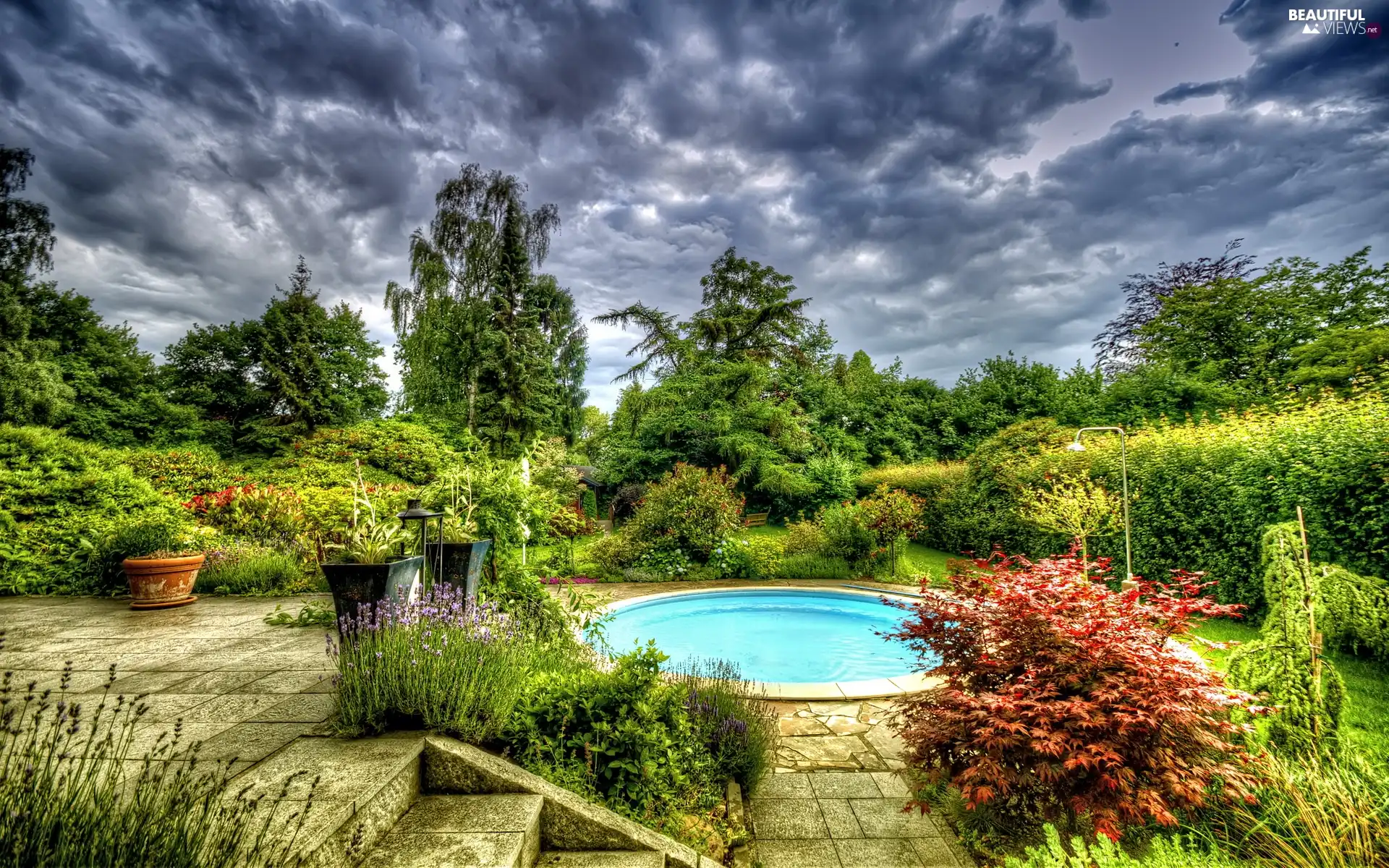 trees, Park, Bush, Flowers, viewes, Pool