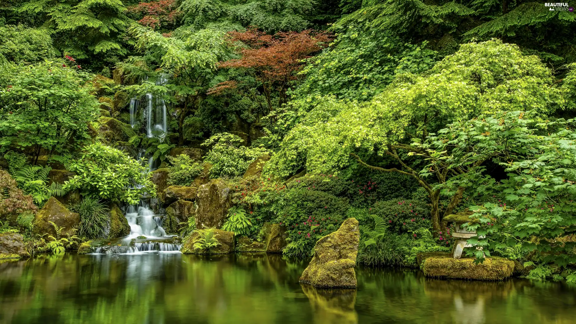 waterfall, viewes, Garden, Bush, trees, Stones, Park